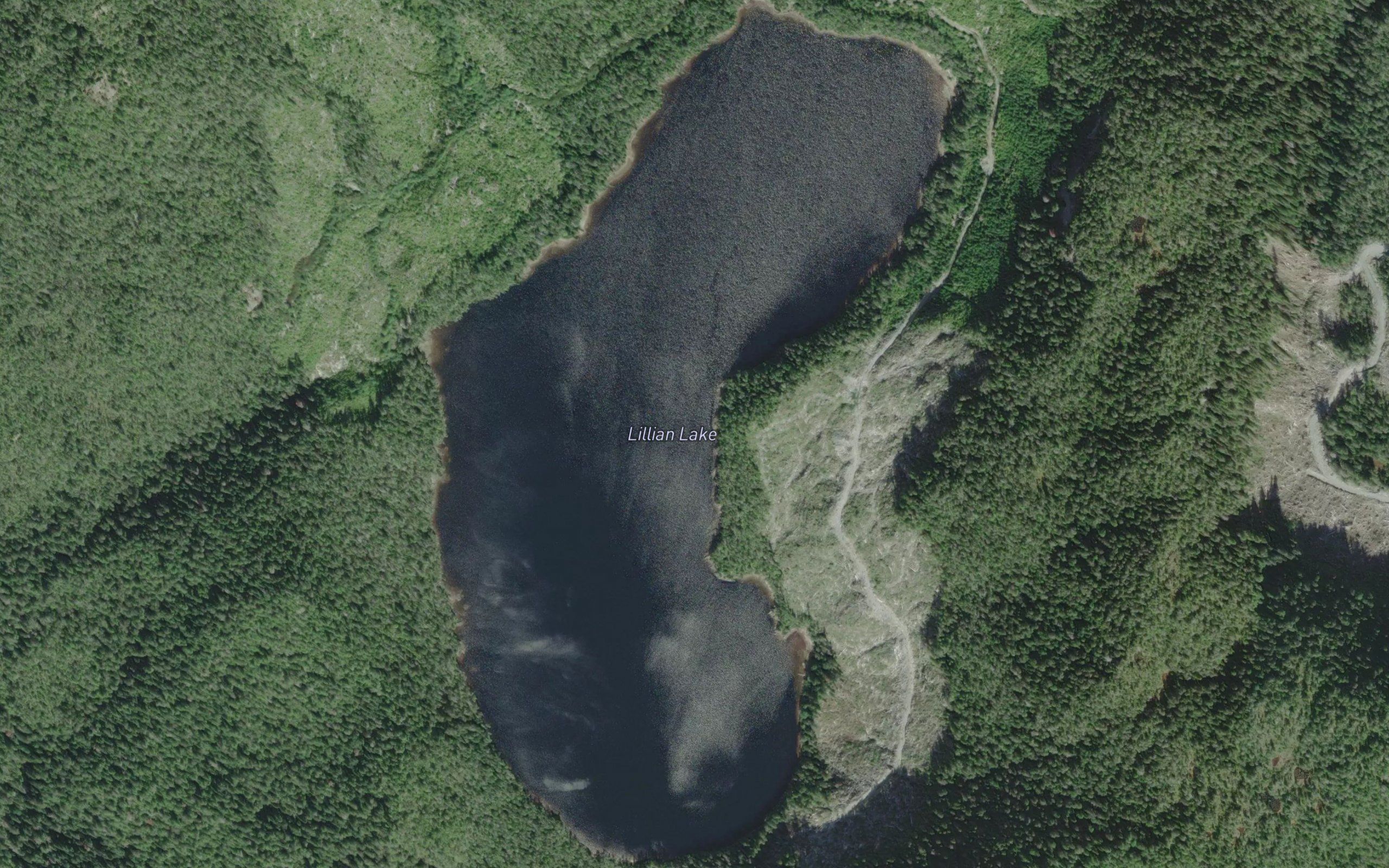 Lillian Lake