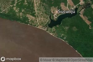 Igarape Sucuriju