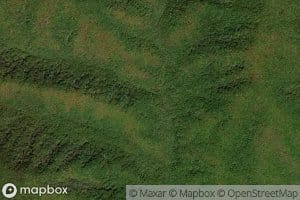 Lawson Gant Lot Branch