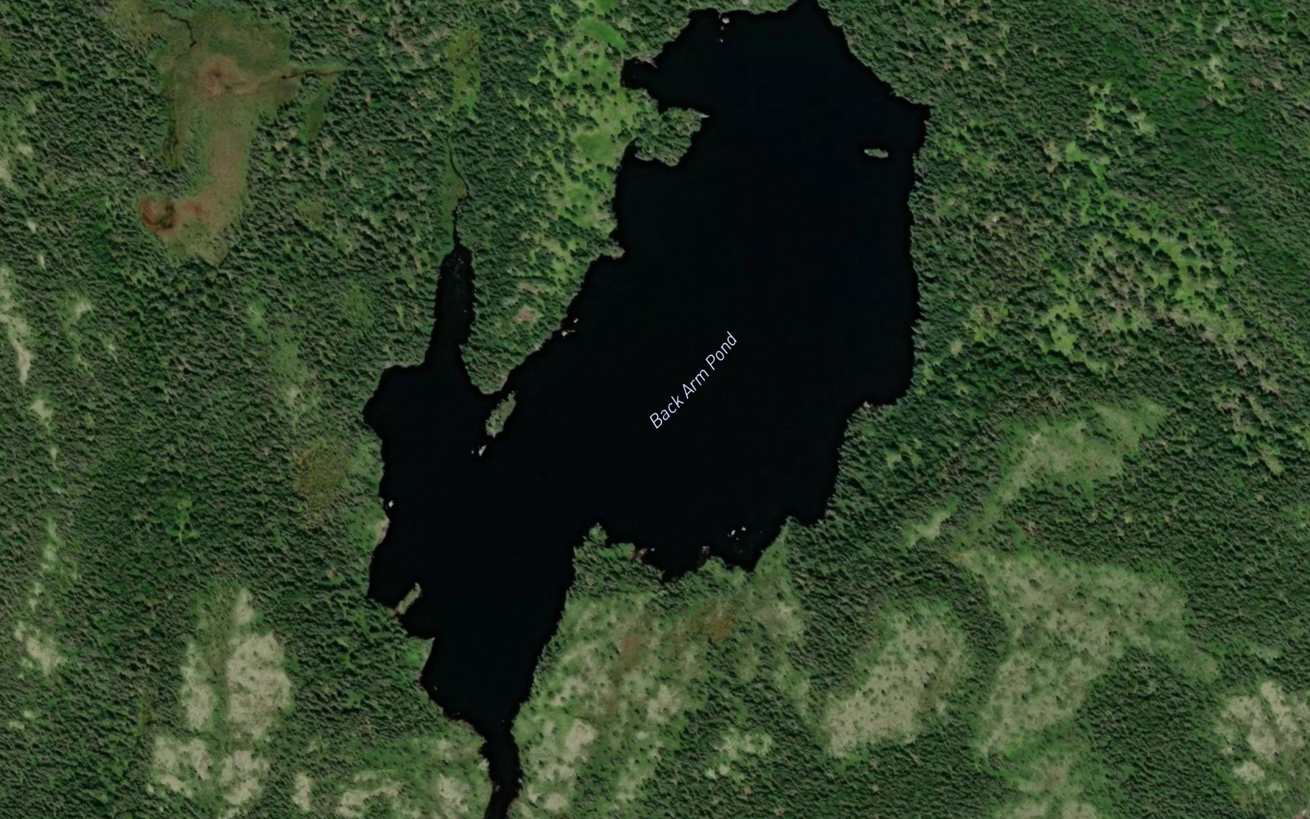 Back Arm Pond