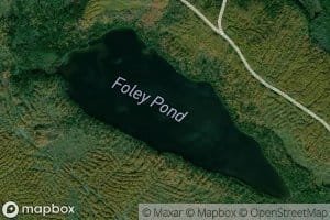 Foley Pond