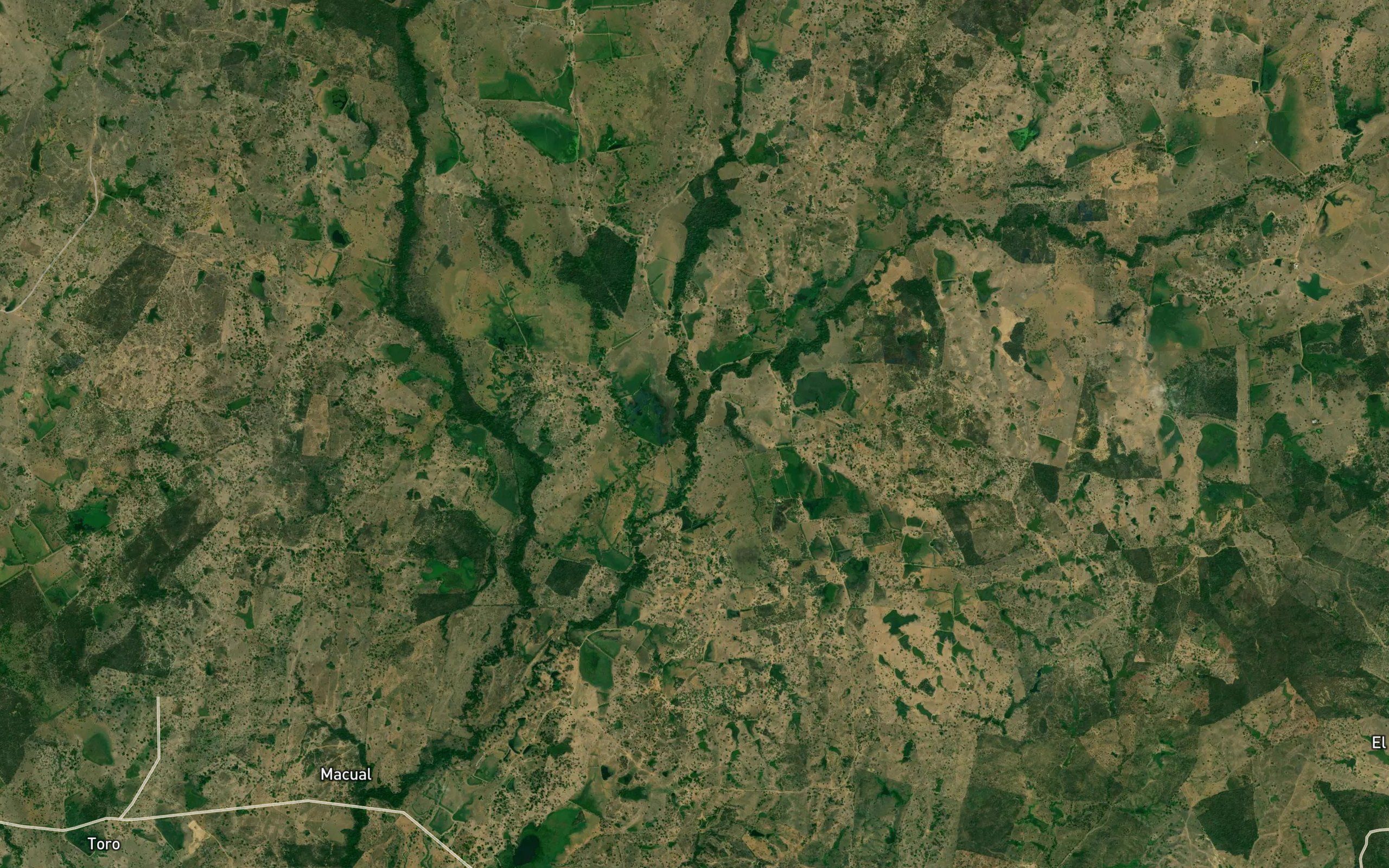 Arroyo Guamito