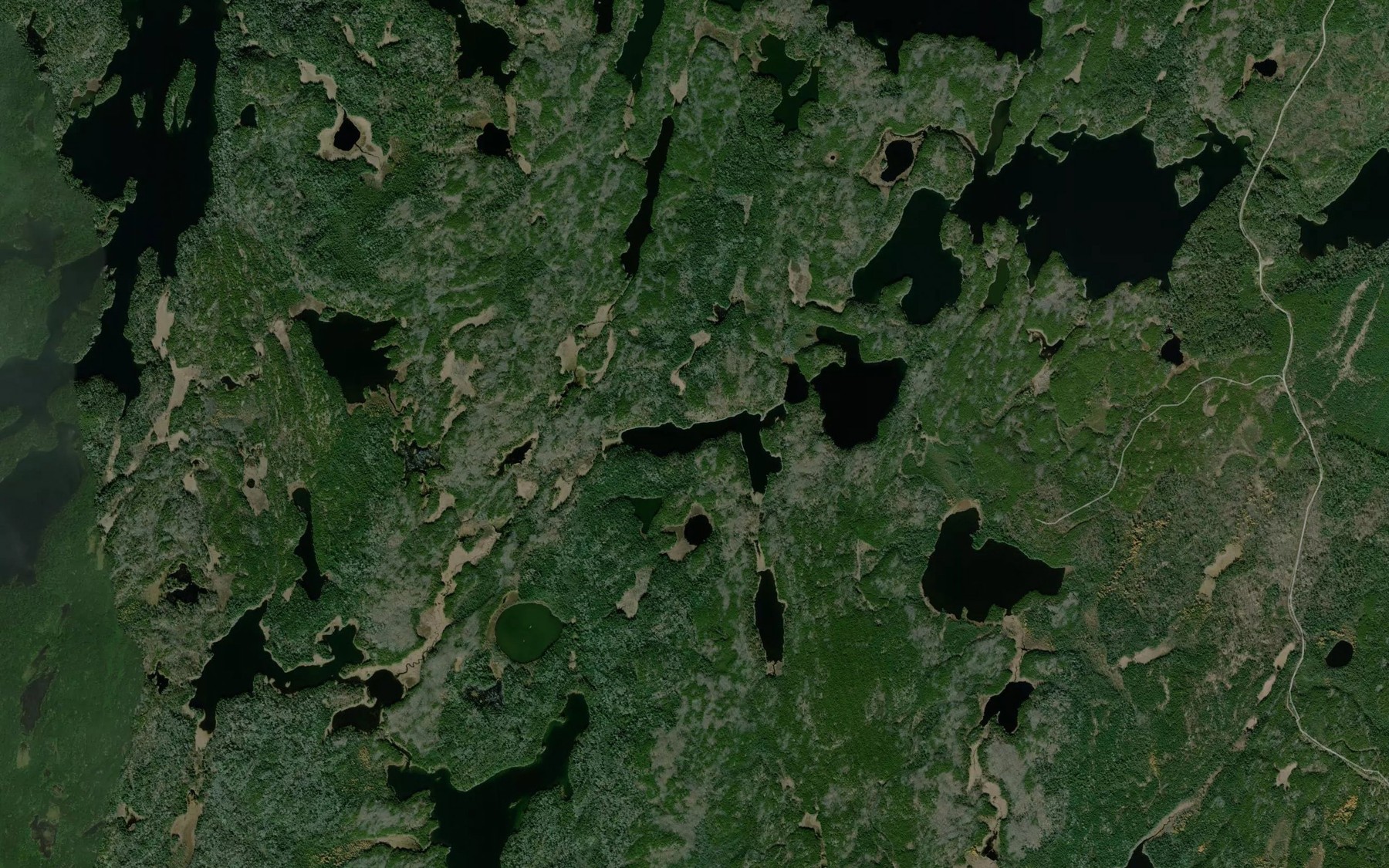 Satellite map of the Wilson Lake