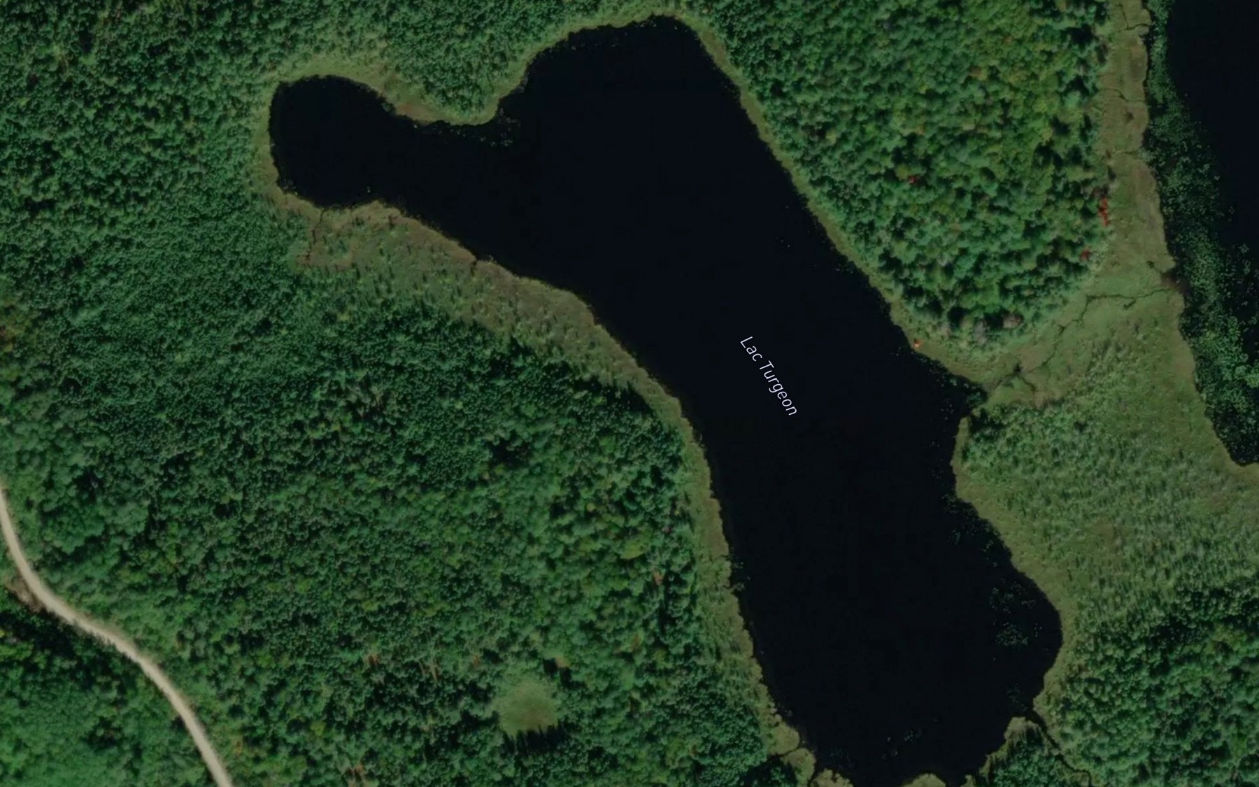 Satellite map of the Lac Turgeon