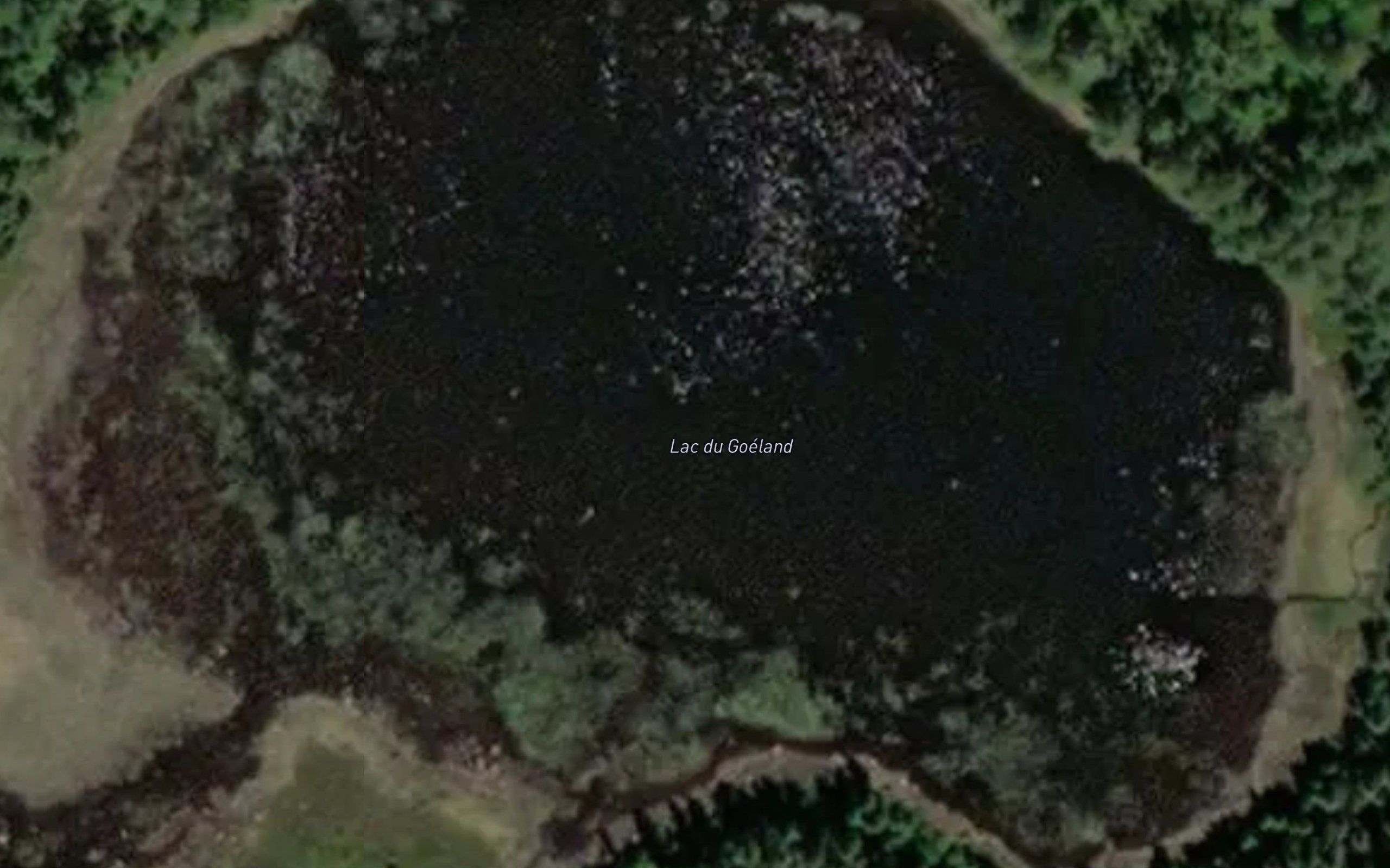 Lac du Goeland