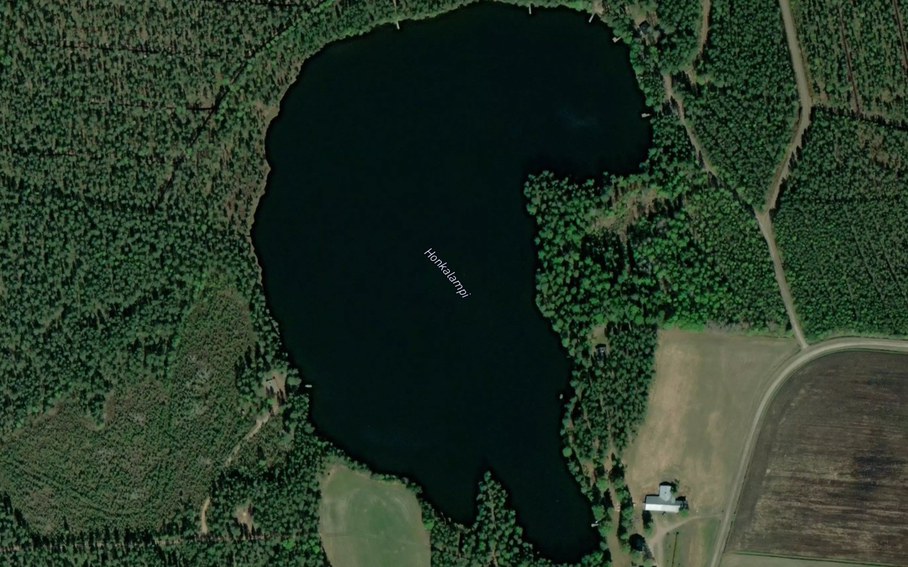 Satellite map of the Honkalampi