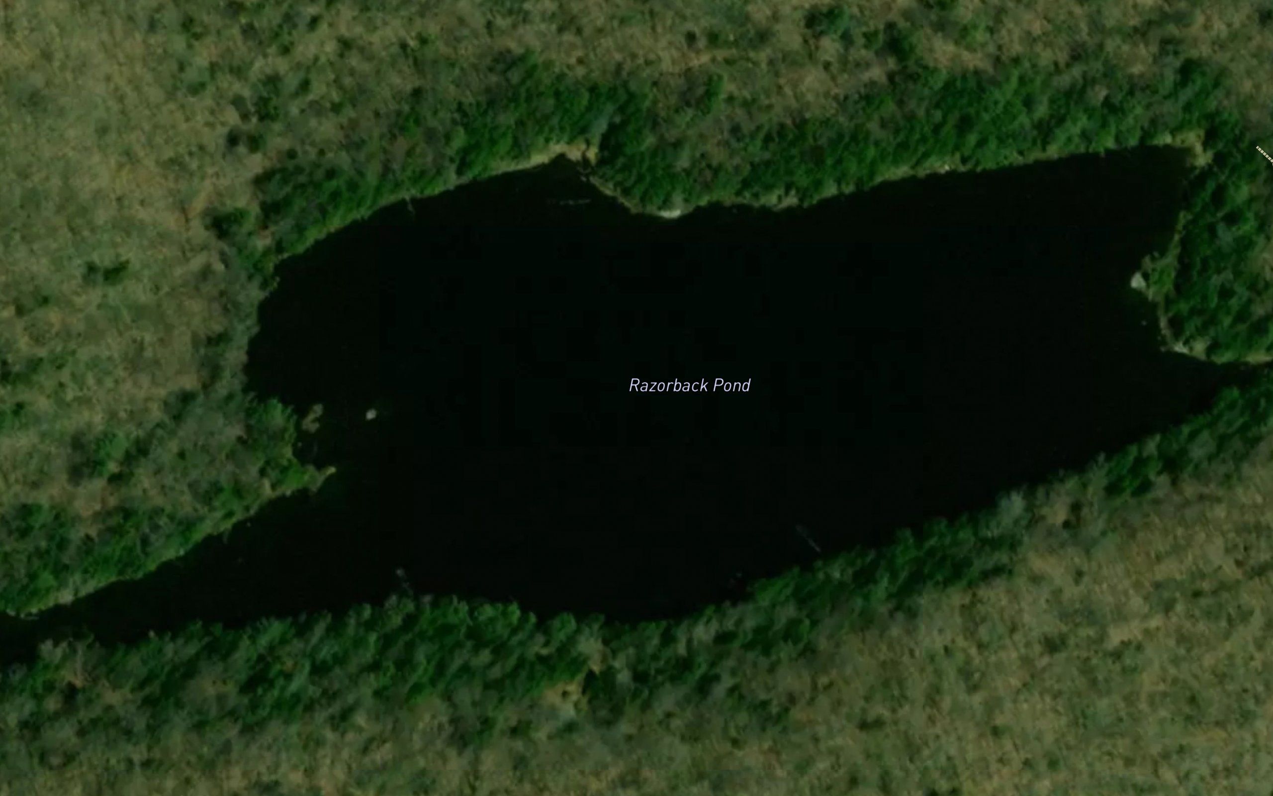 Razorback Pond
