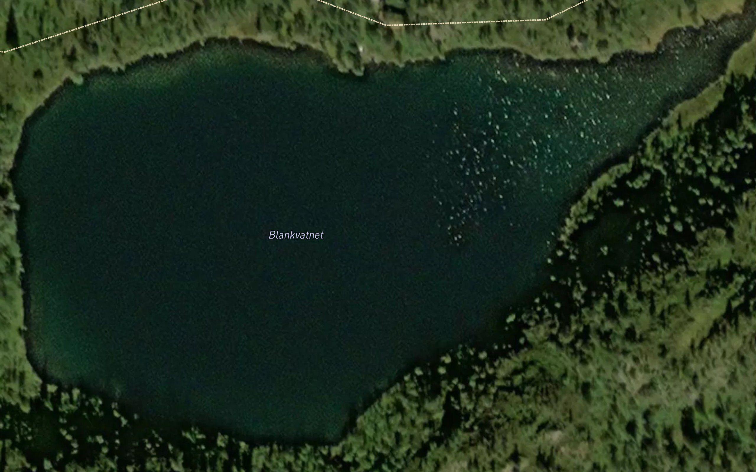 Blankvatnet
