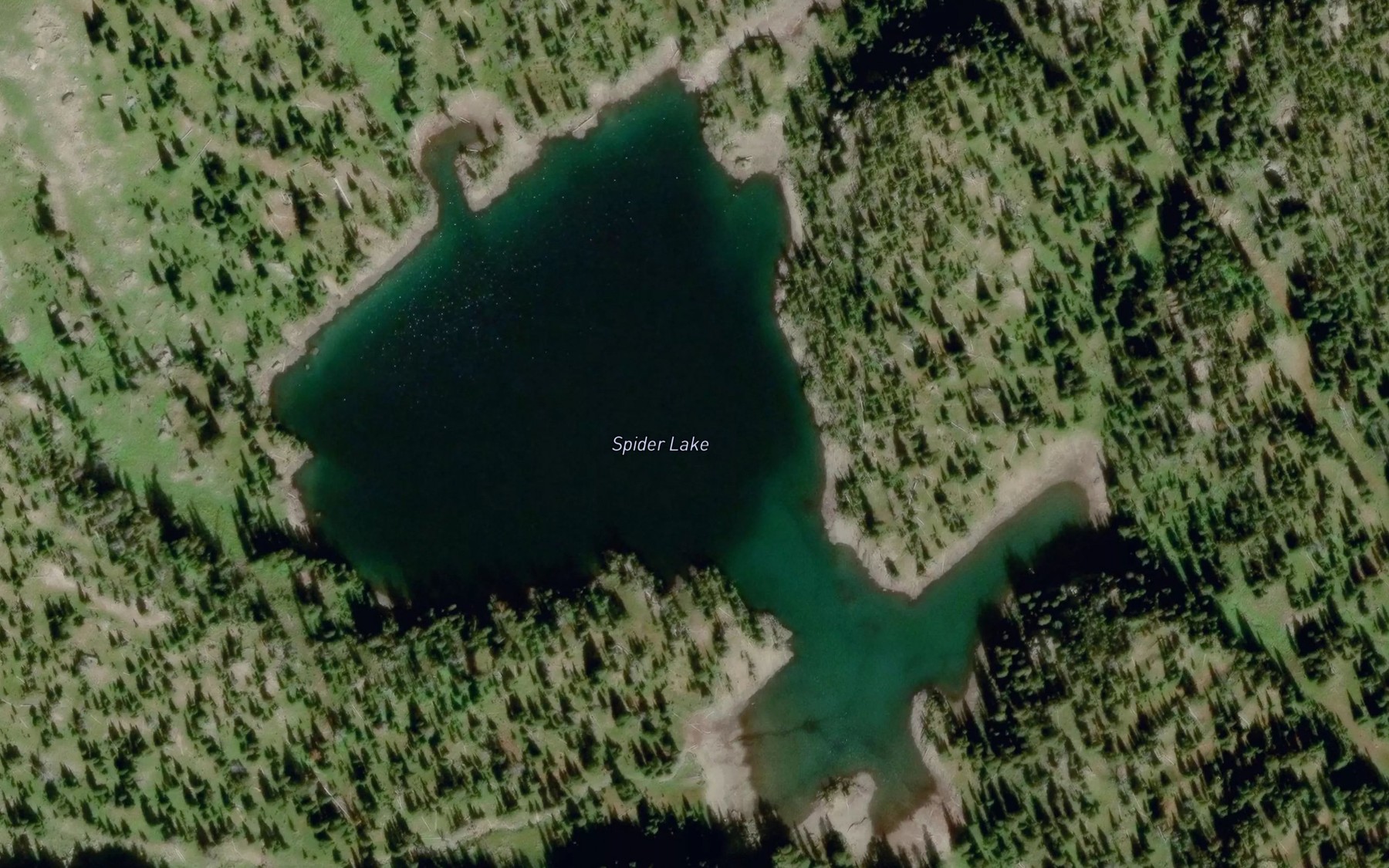 Satellite map of the Spider Lake