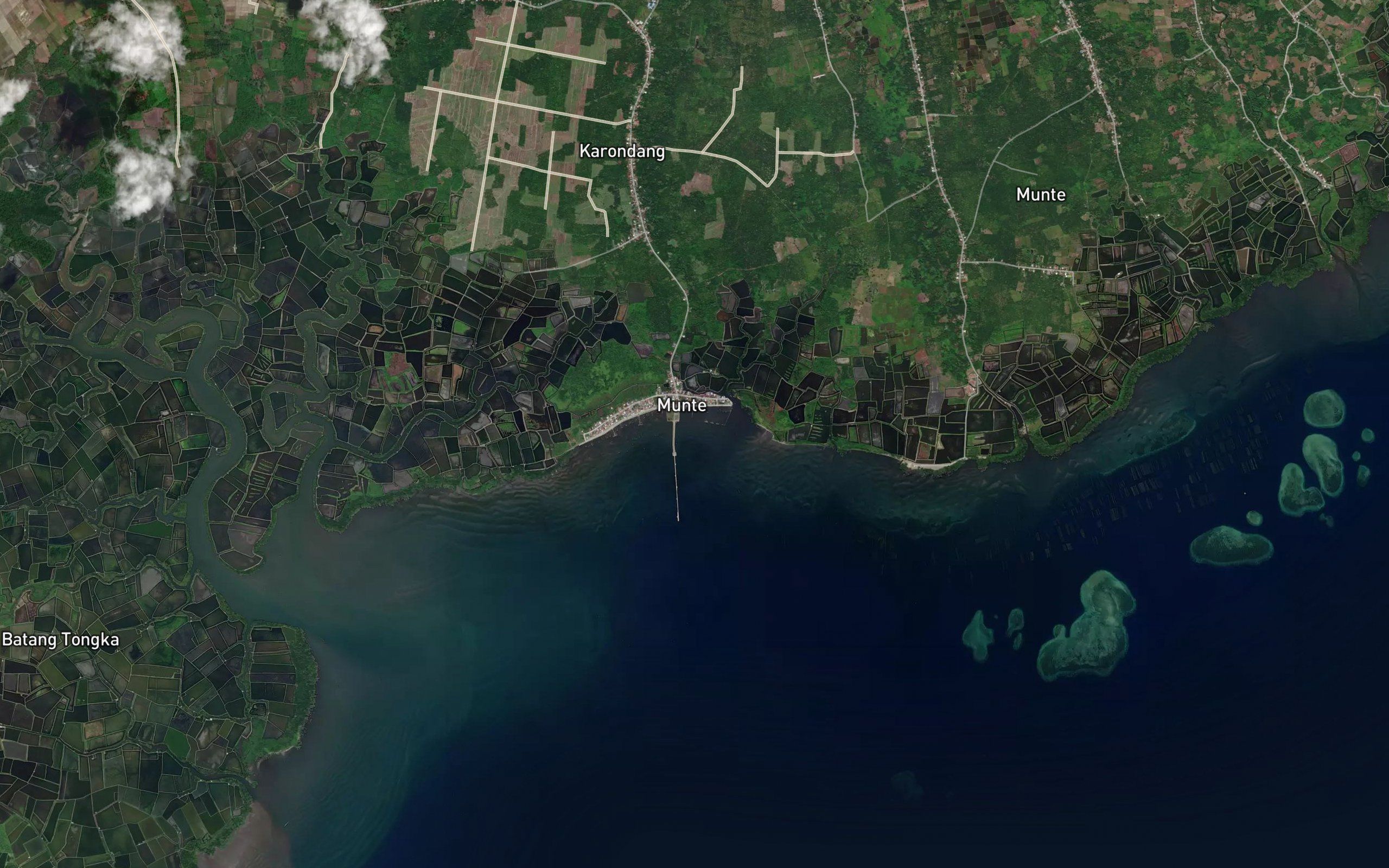 Muara Munte