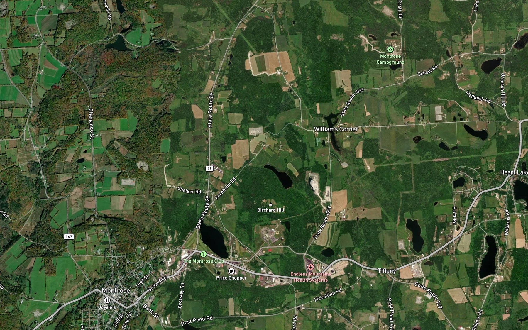 Satellite map of the Warner Pond
