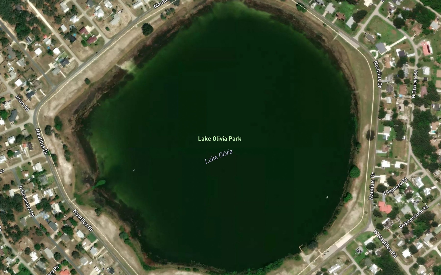 Satellite map of the Lake Olivia