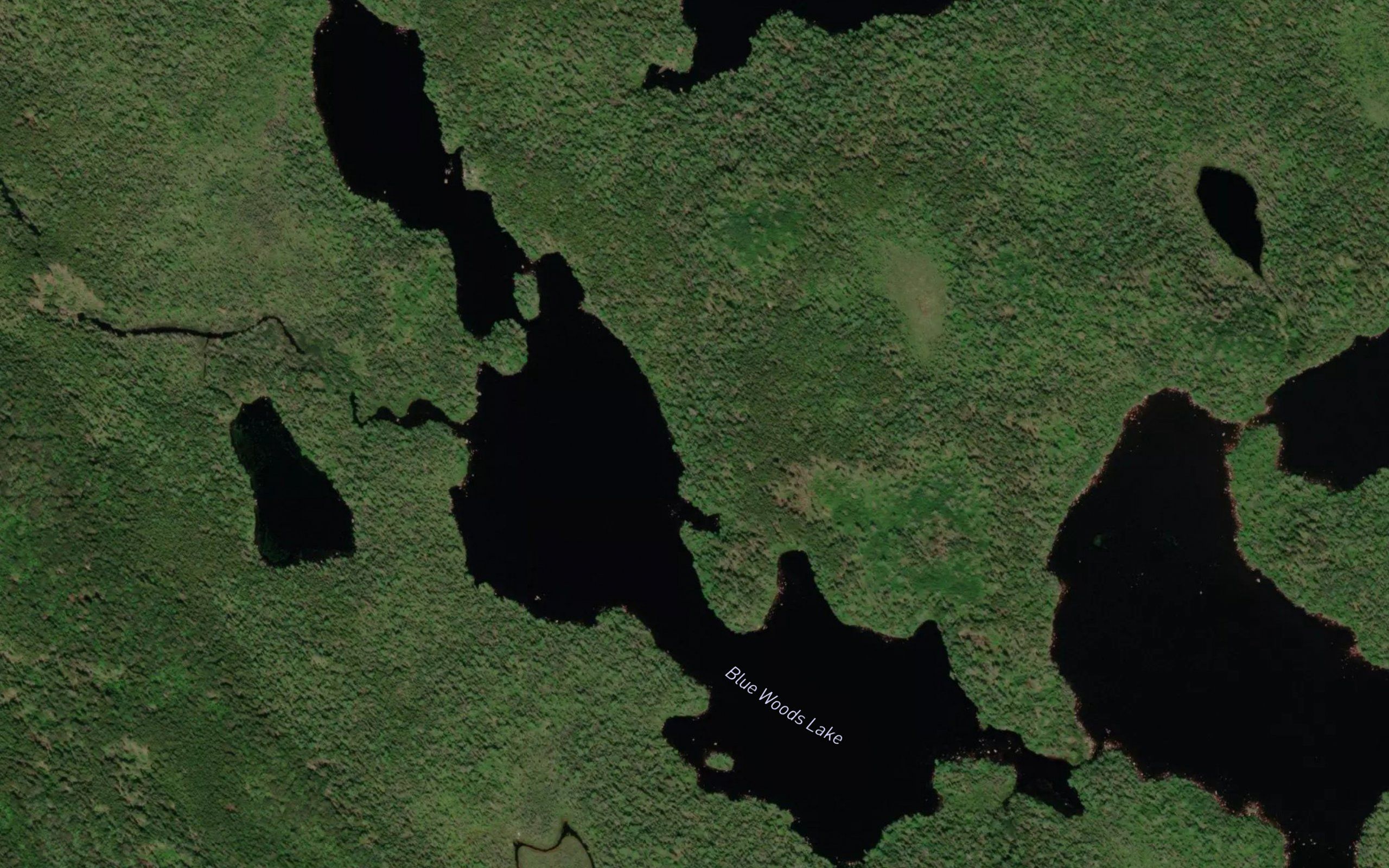 Blue Woods Lake