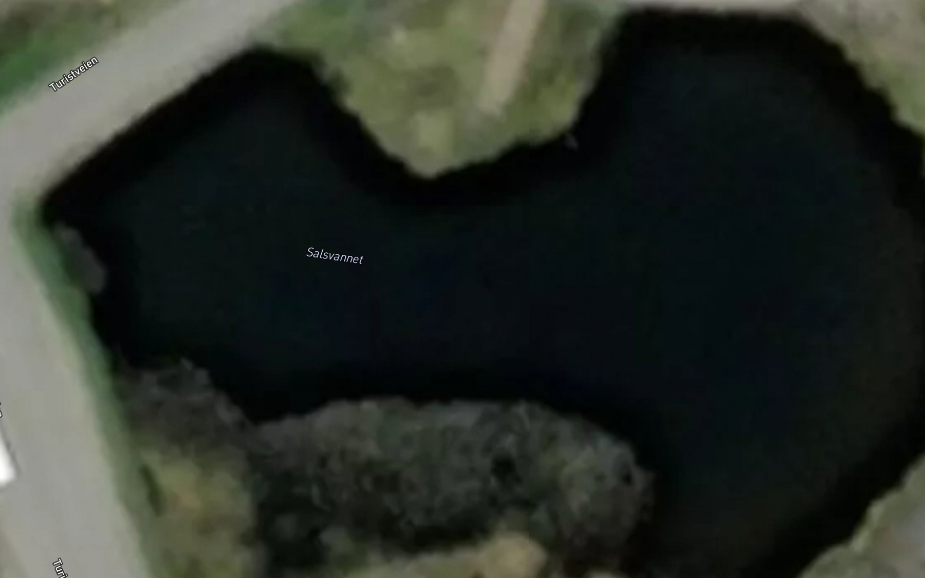 Satellite map of the Salsvatnet
