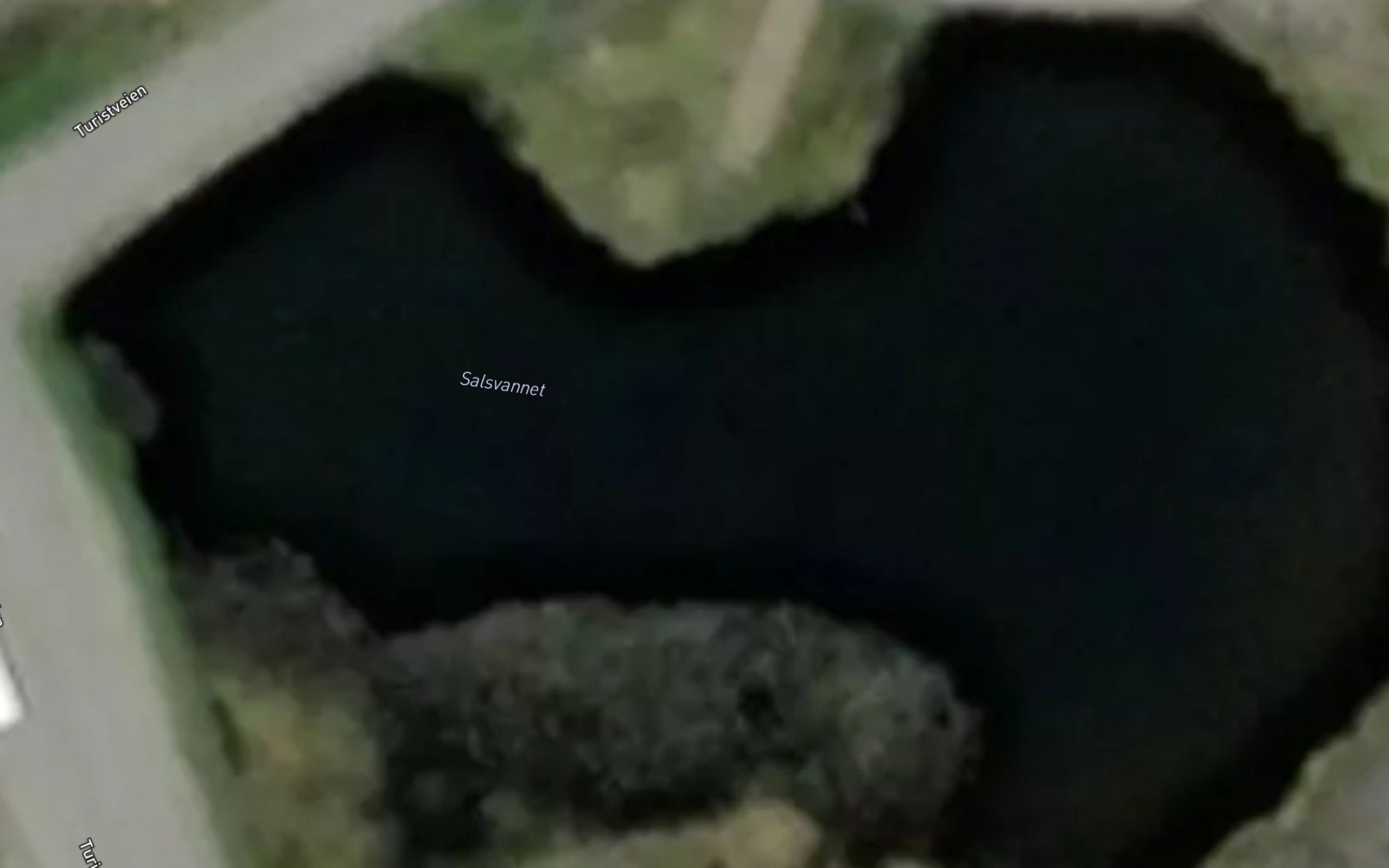 Salsvatnet