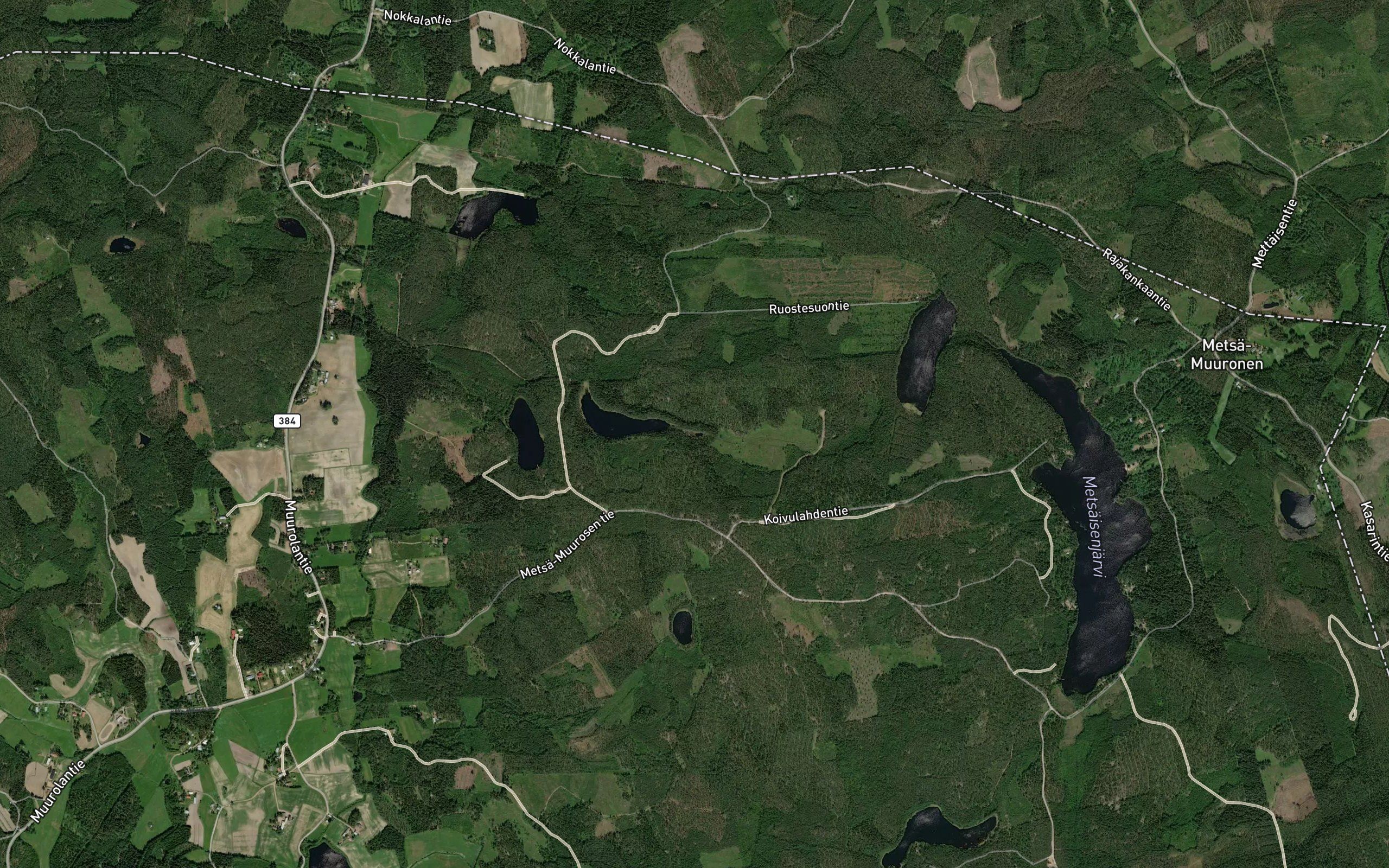 Parkkonen