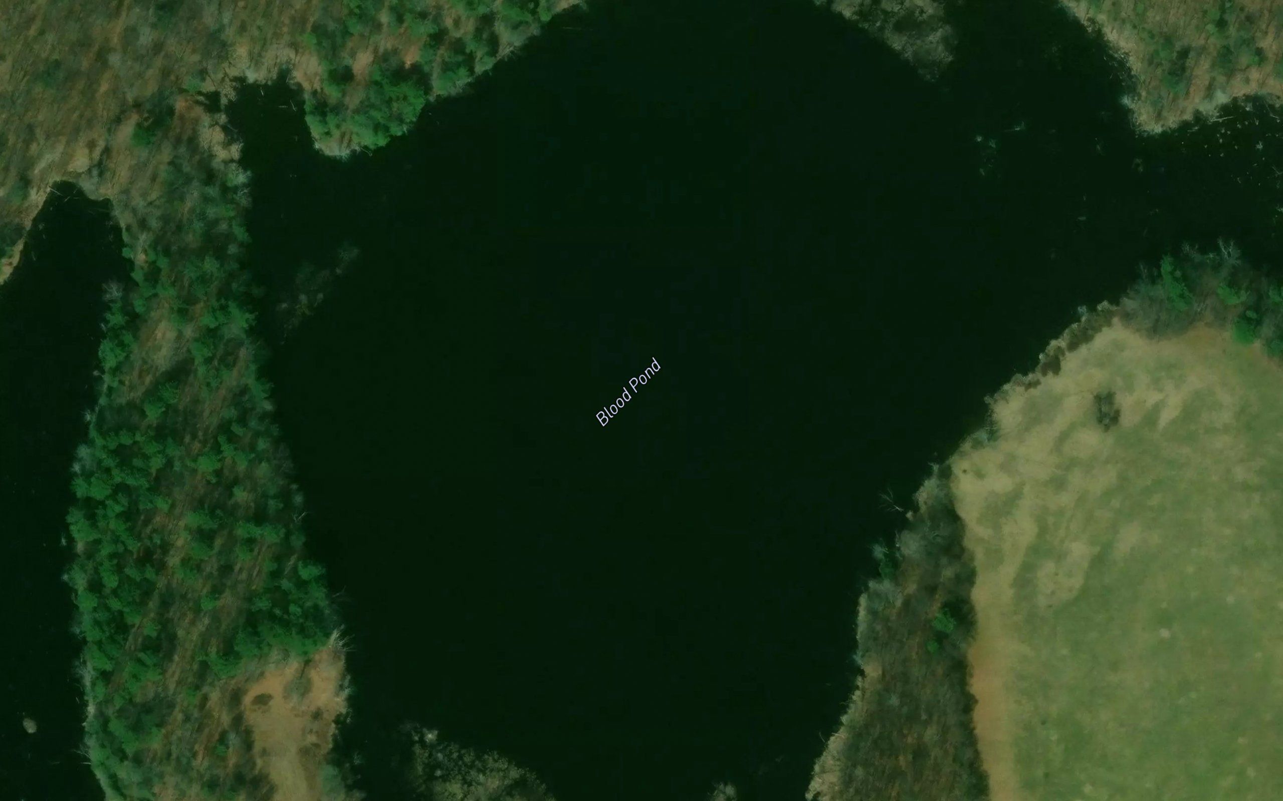 Blood Pond
