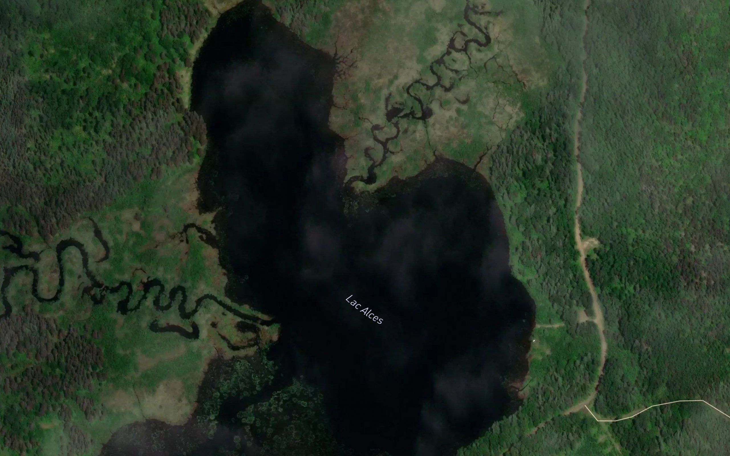 Lac Alces