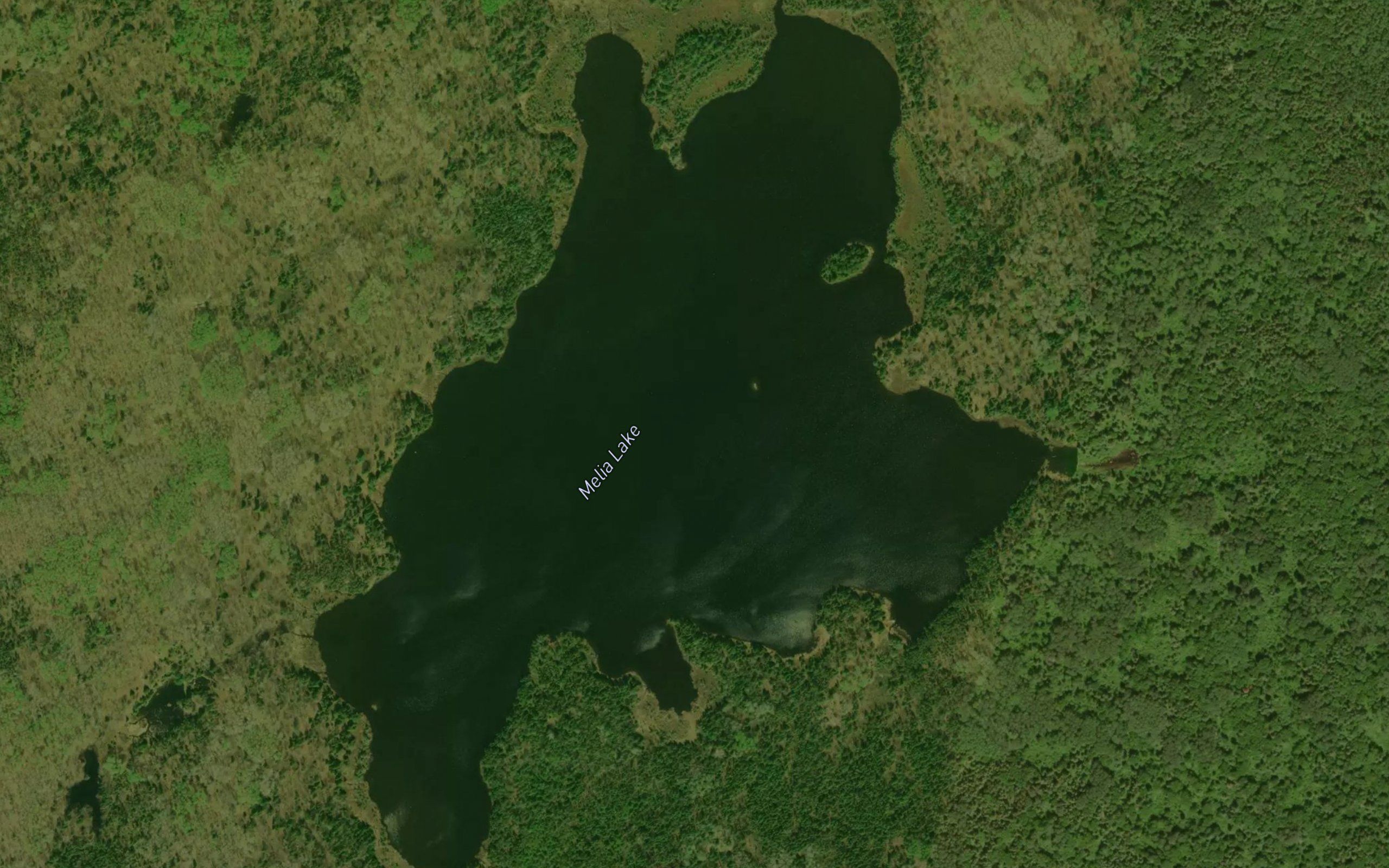 Melia Lake
