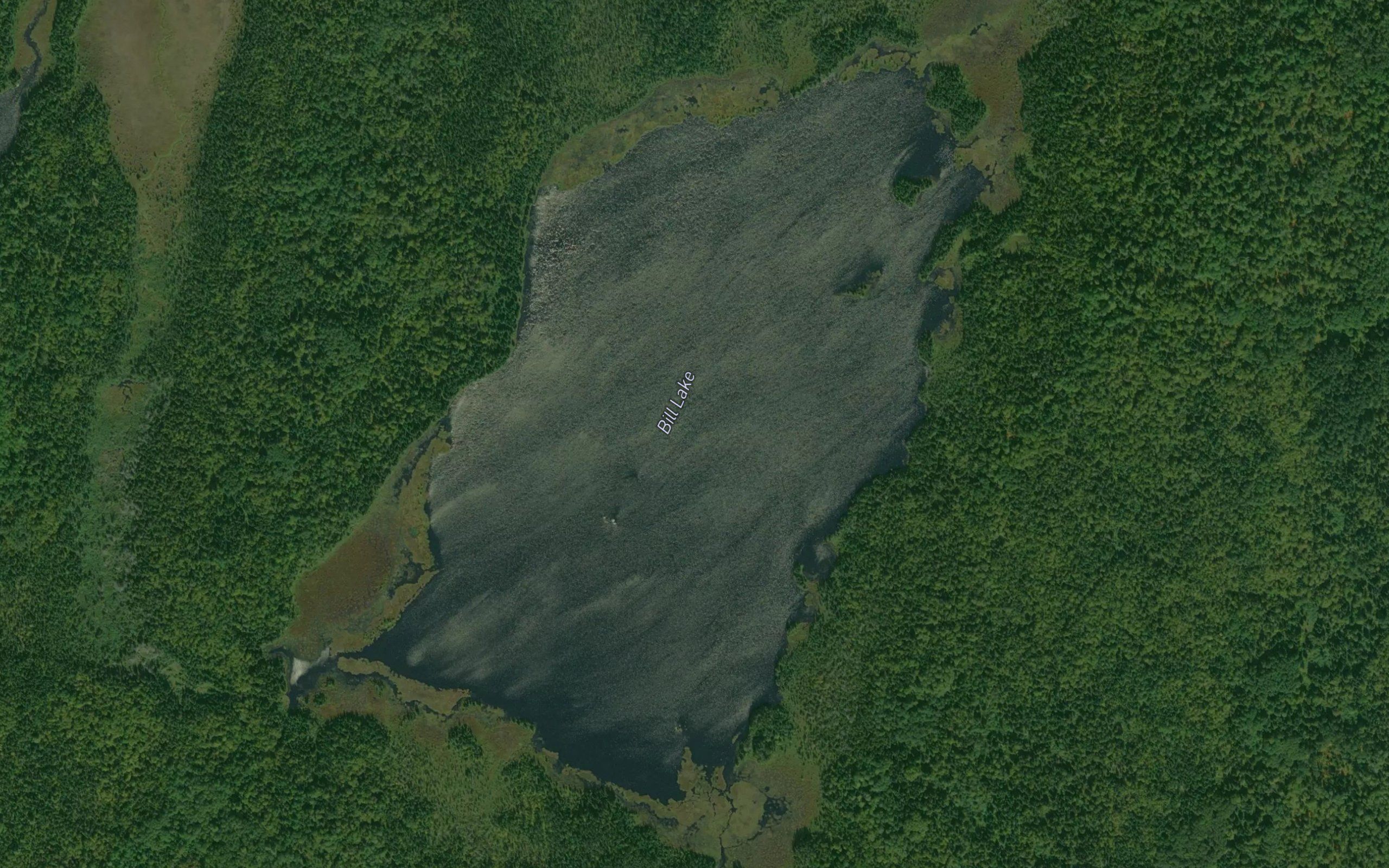 Bill Lake