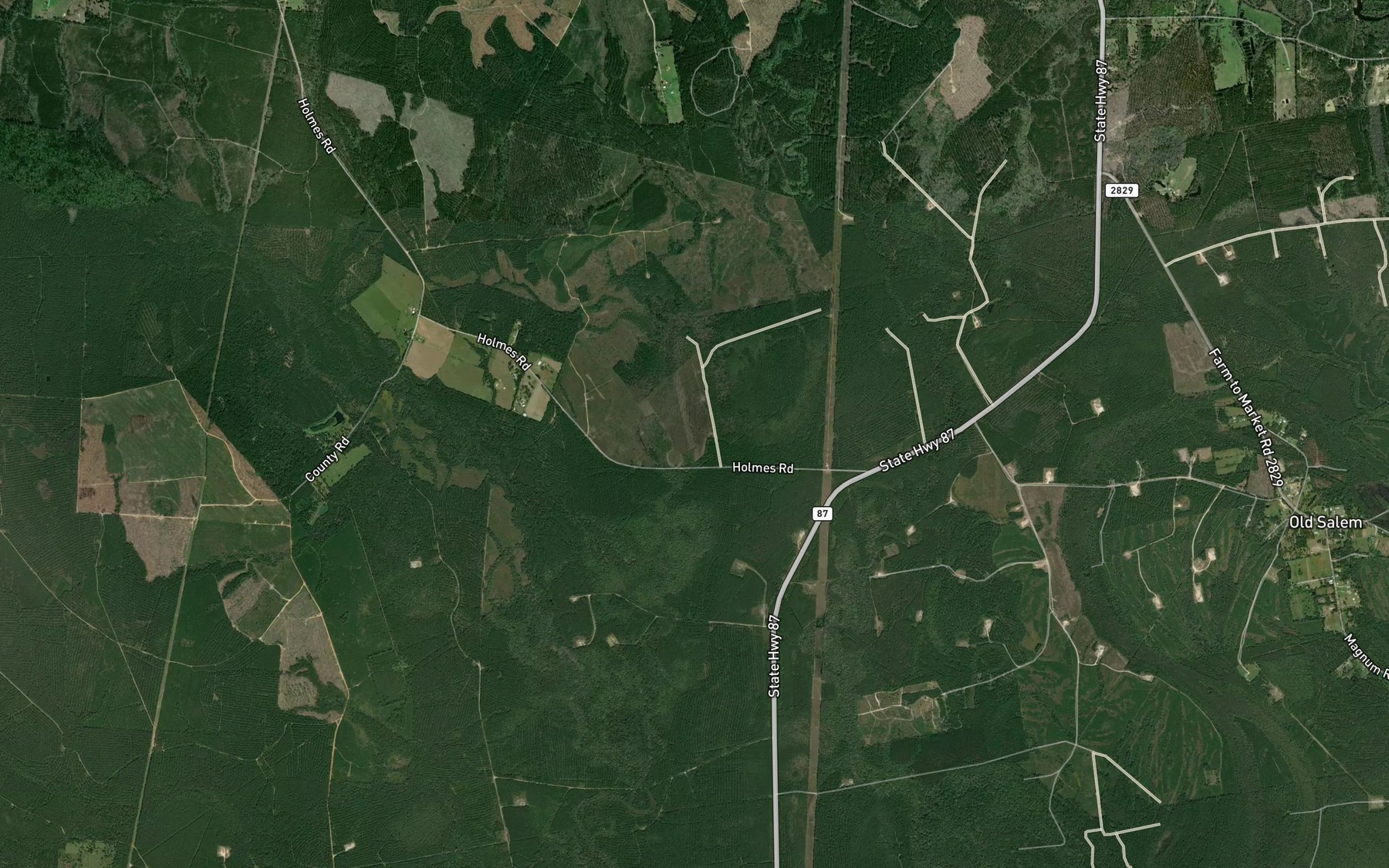 Satellite map of the Gum Slough