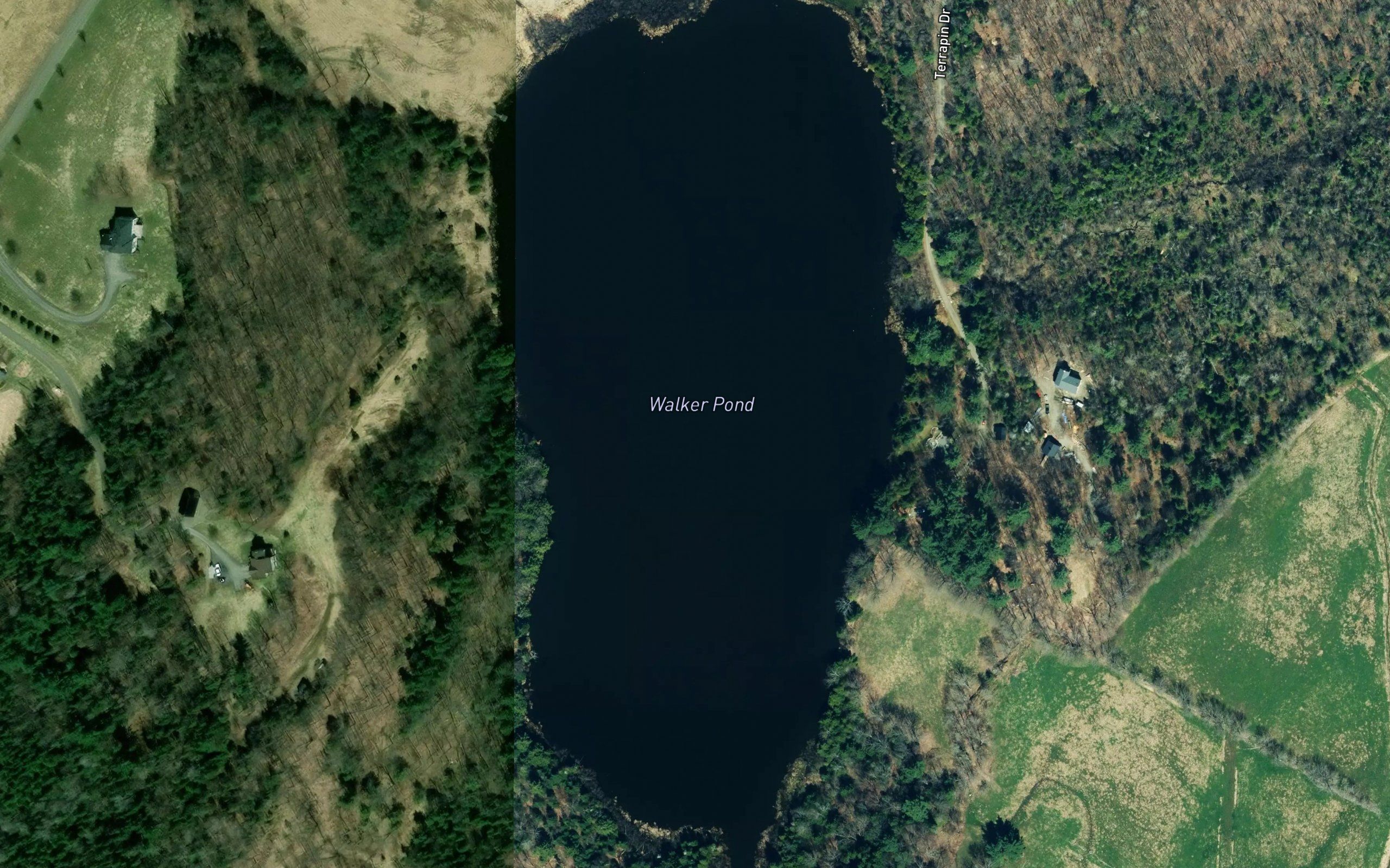 Walker Pond