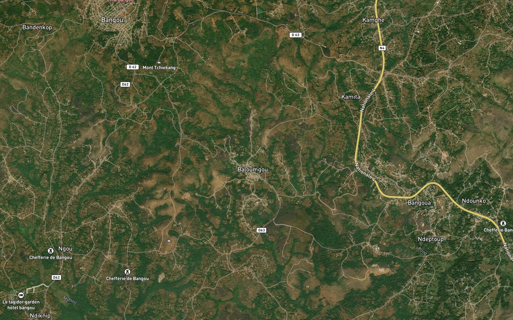 Satellite map of the Chesa