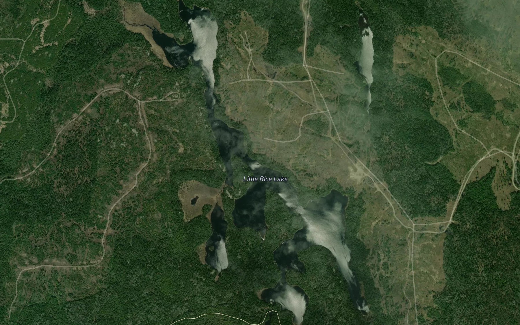 Satellite map of the Little Rice Lake