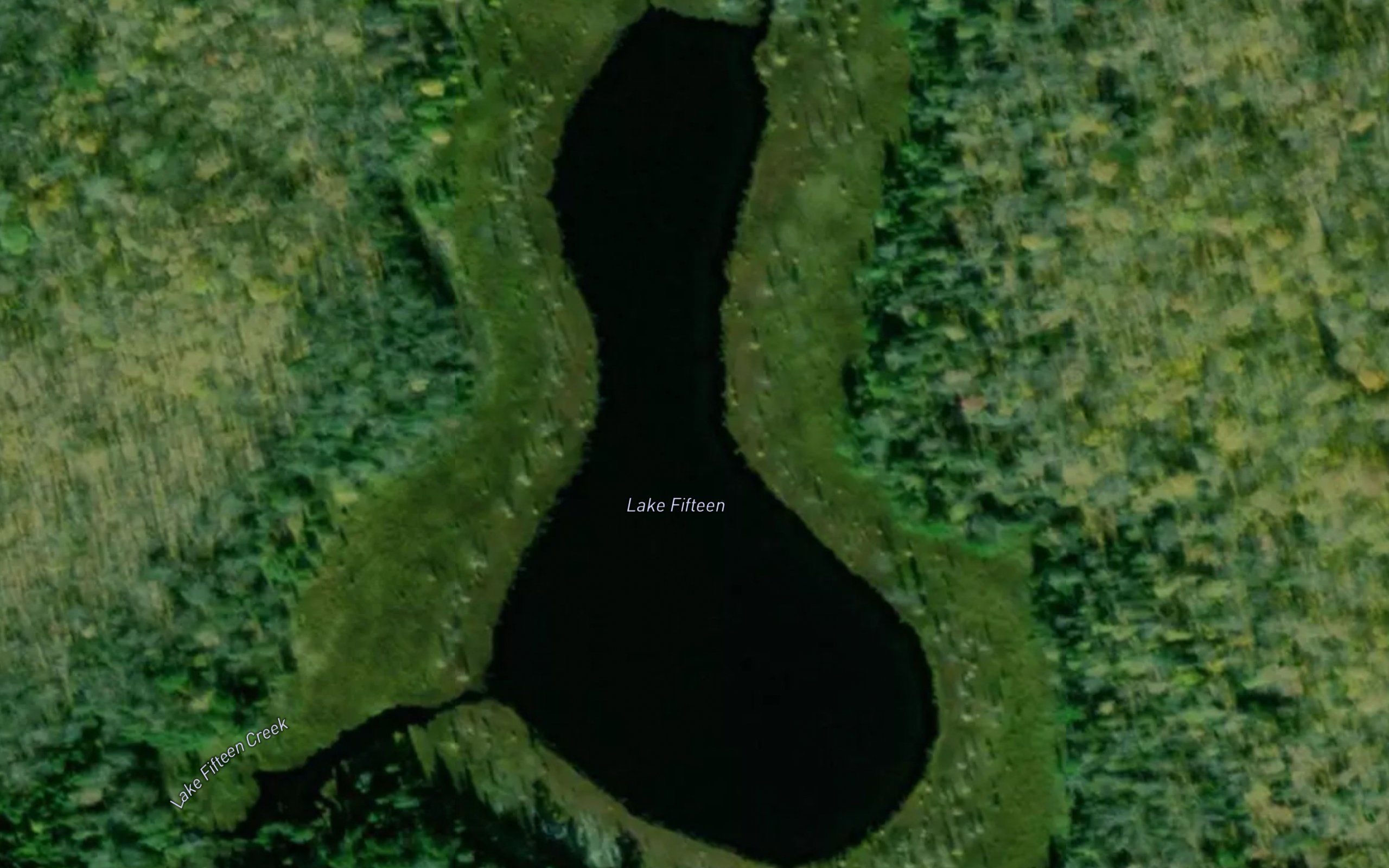 Lake Fifteen