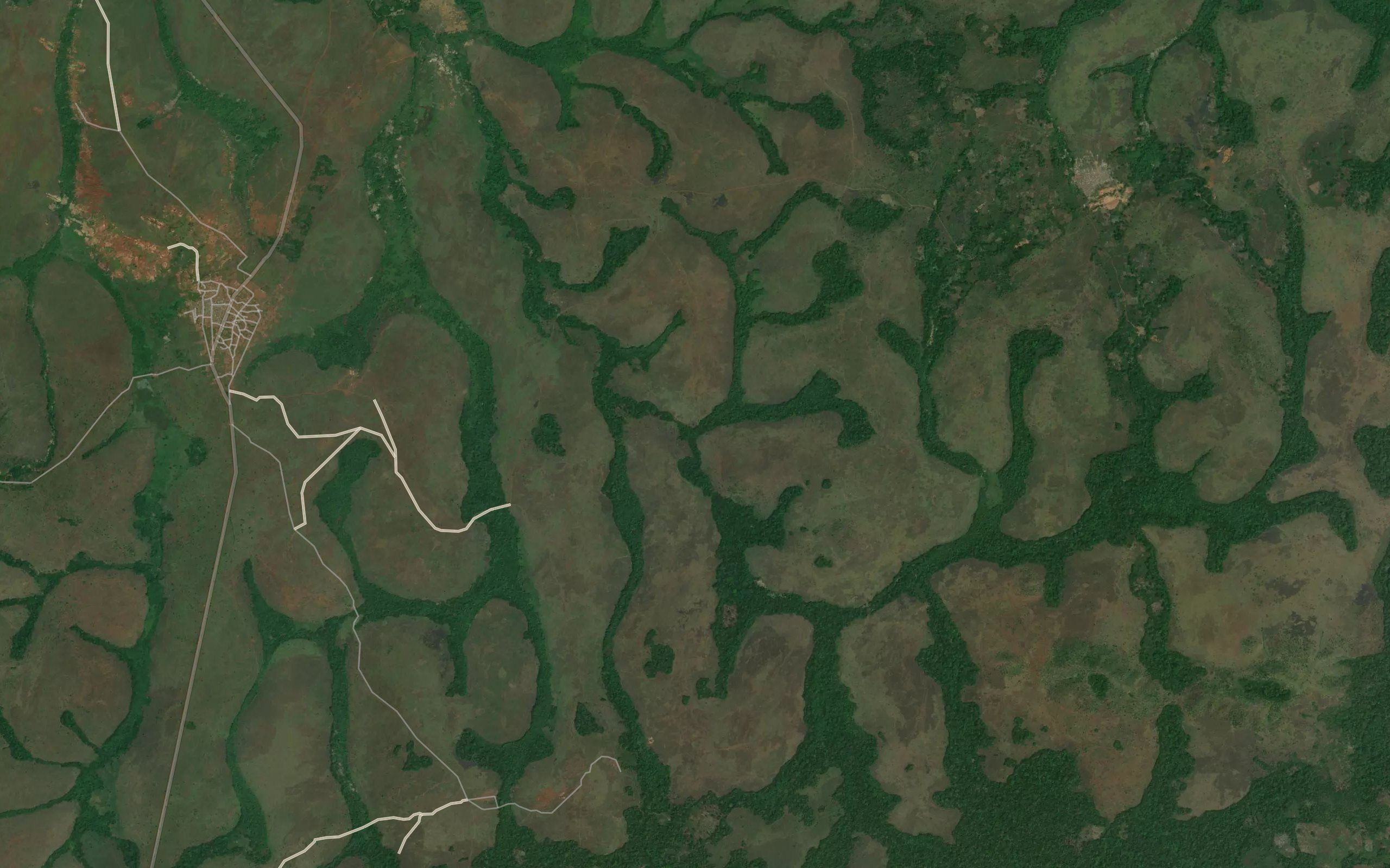 Gese