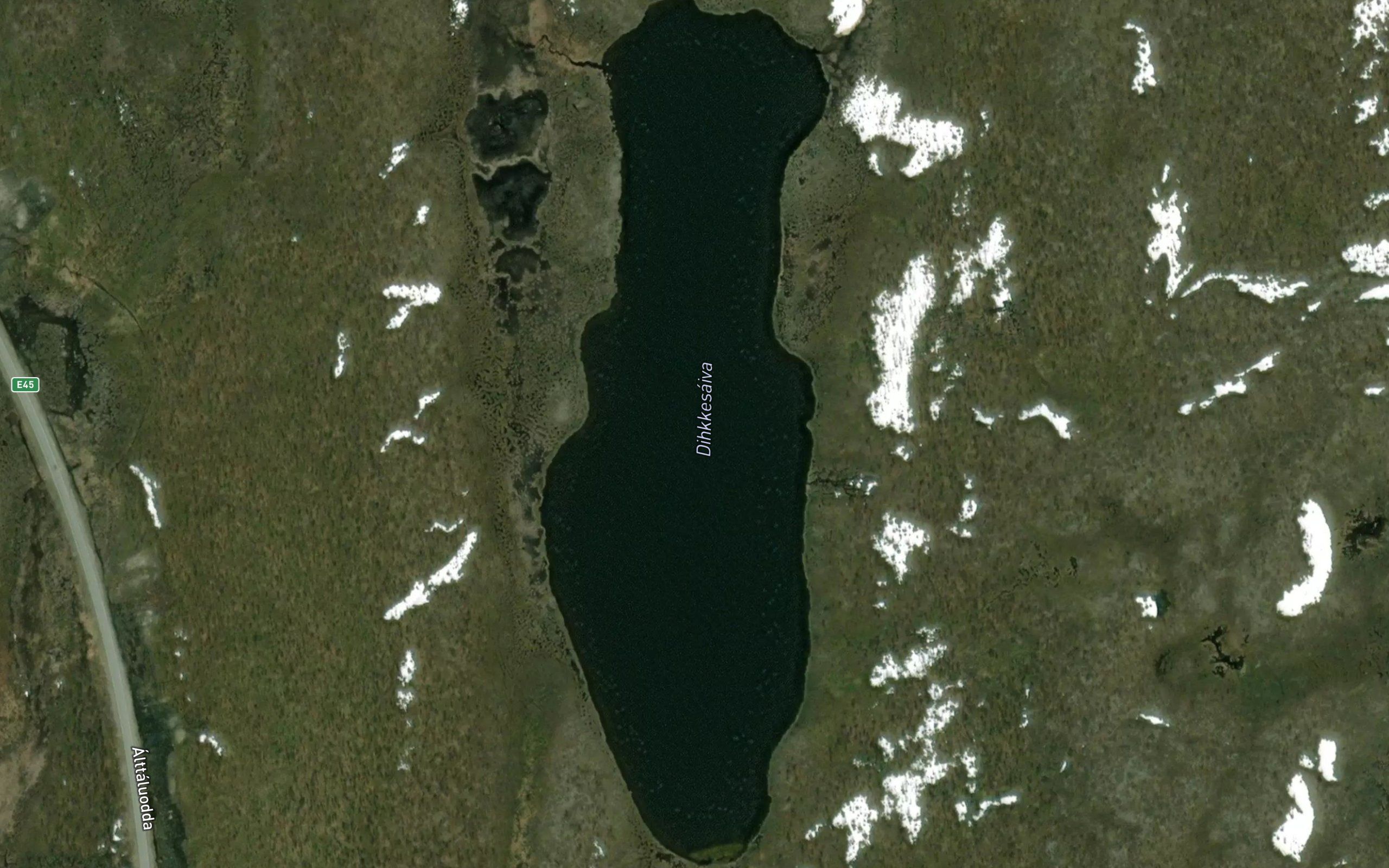 Dikkesaiva