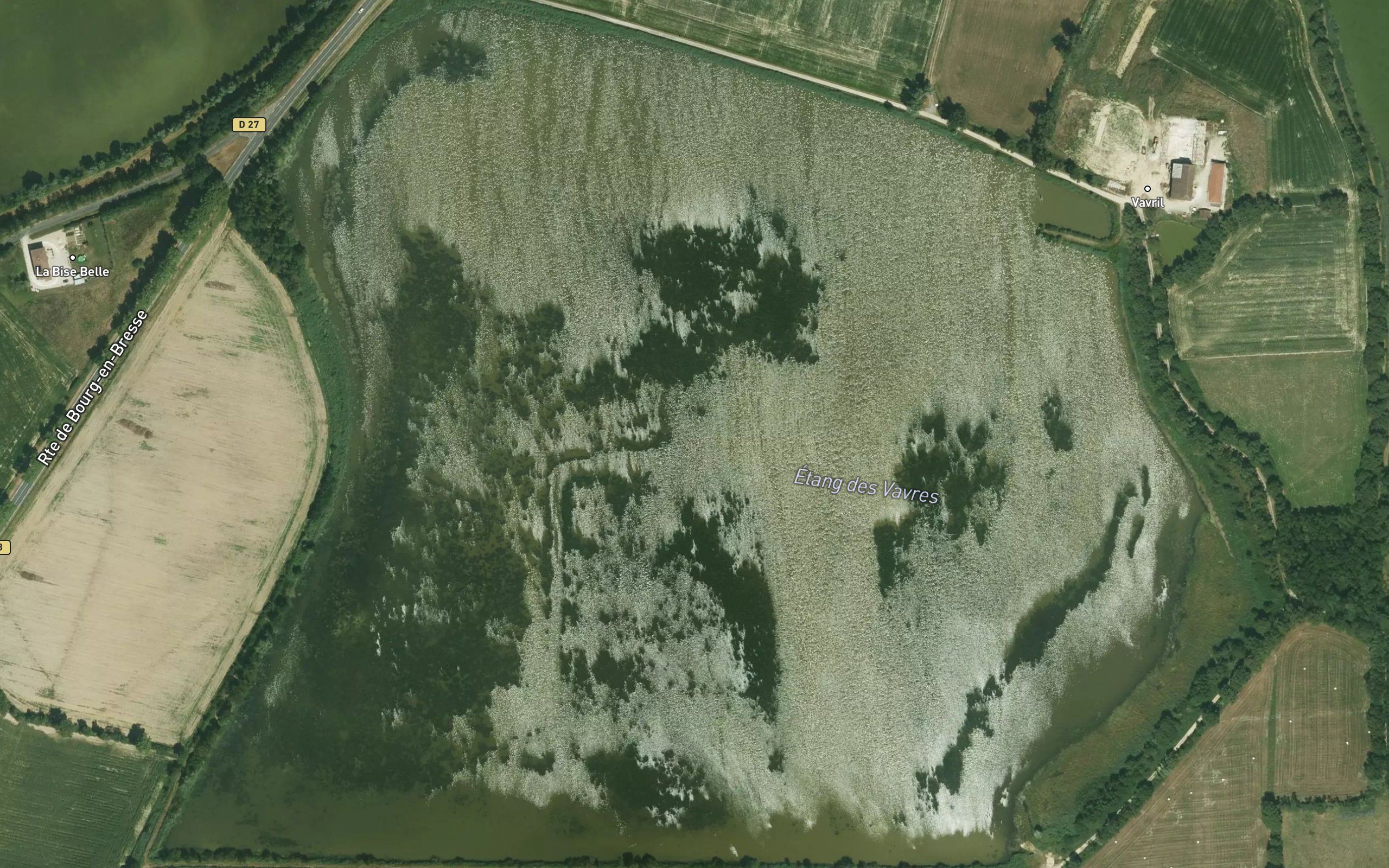 Etang des Vavres