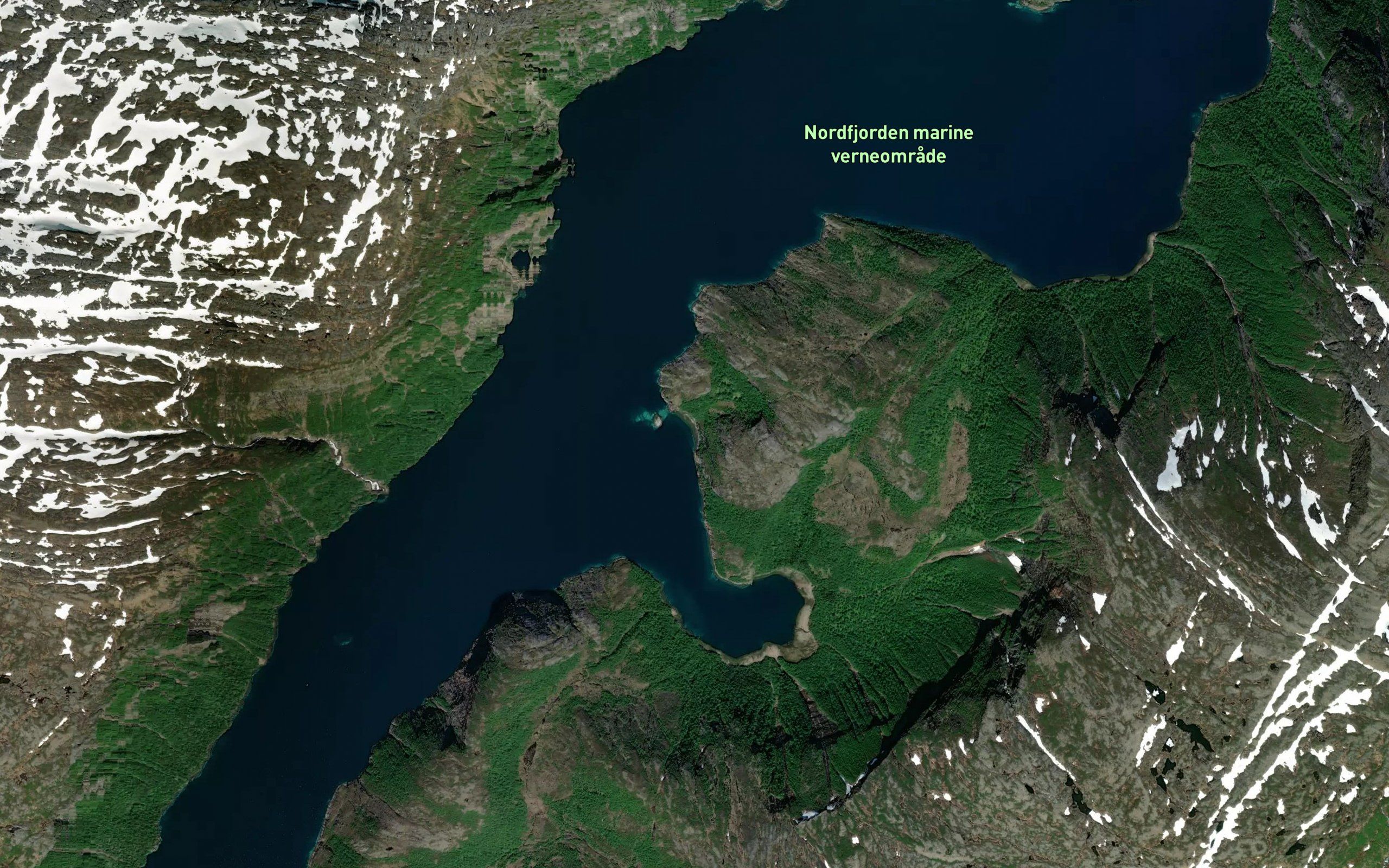 Skjaervika