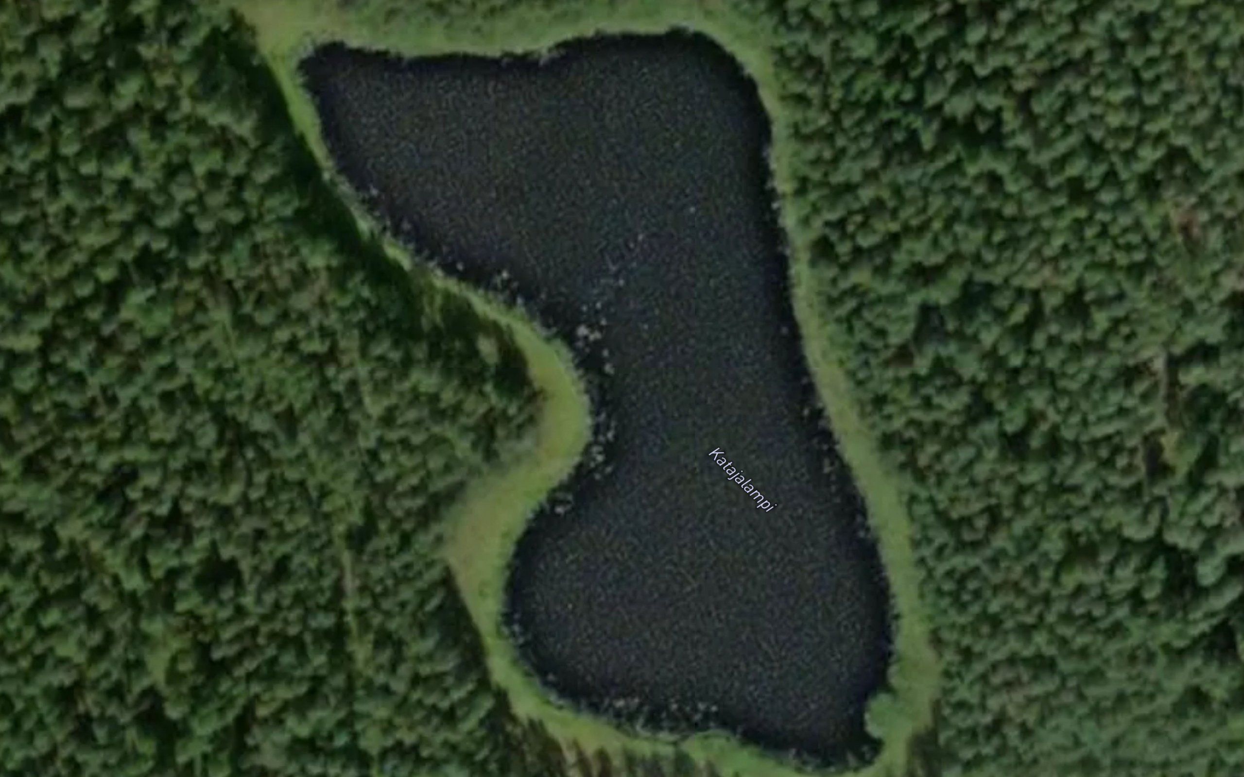 Katajalampi