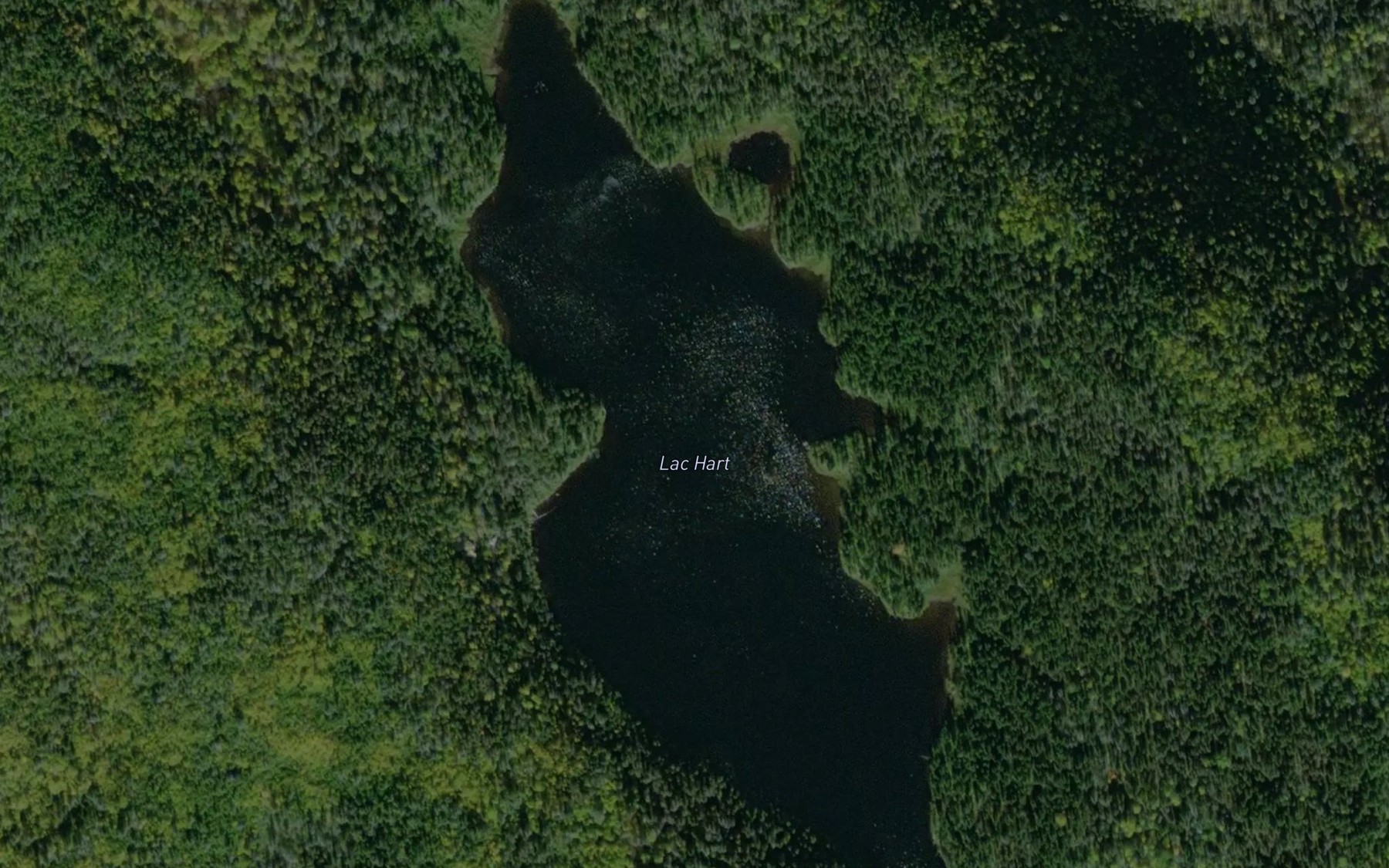 Satellite map of the Lac a la Hache