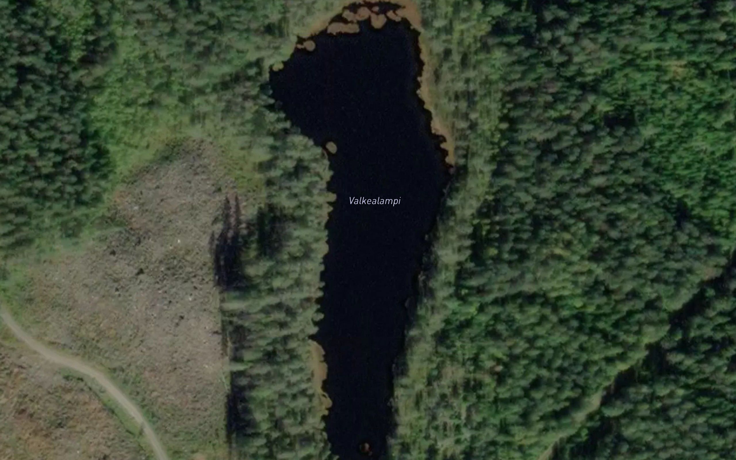 Valkealampi