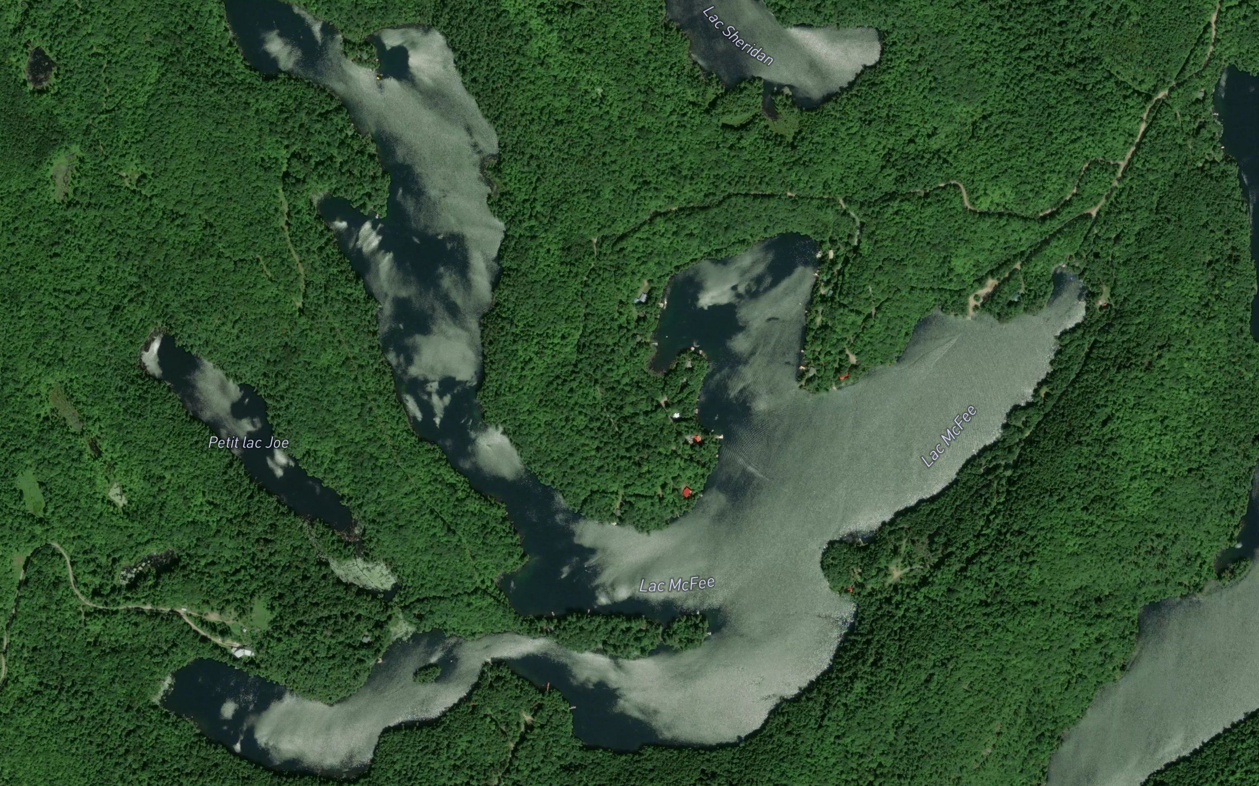 Lac McFee