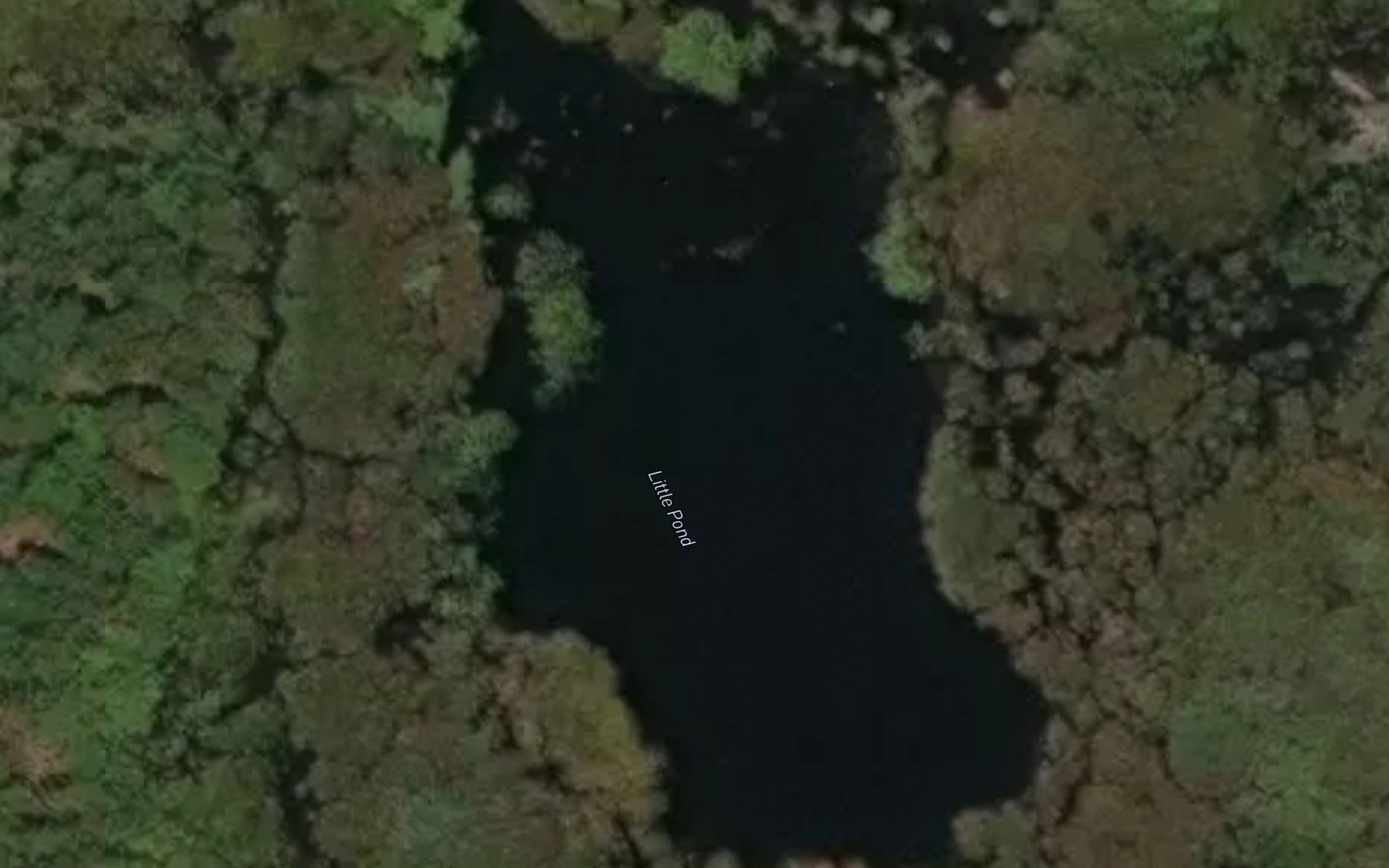 Little Pond