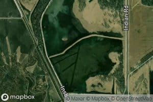 Mallard Marsh