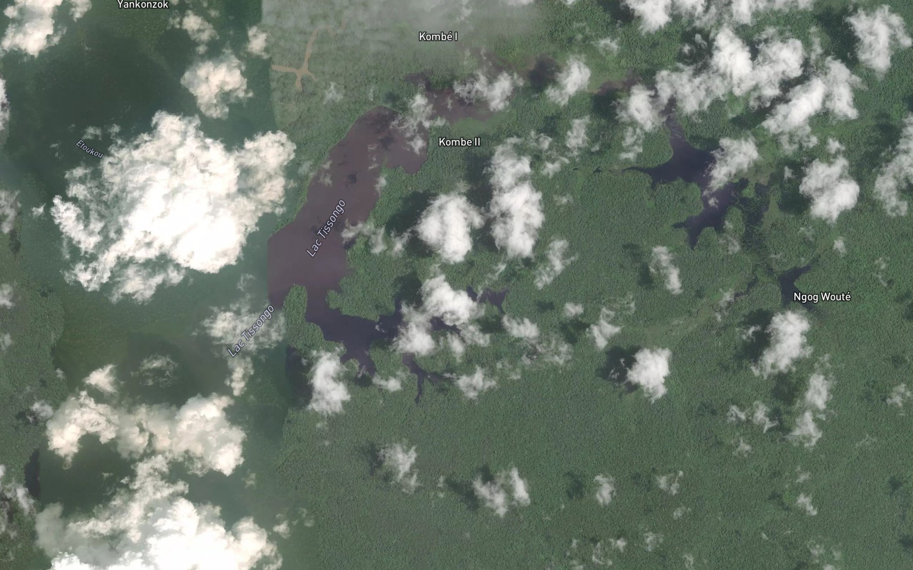 Satellite map of the Odiba