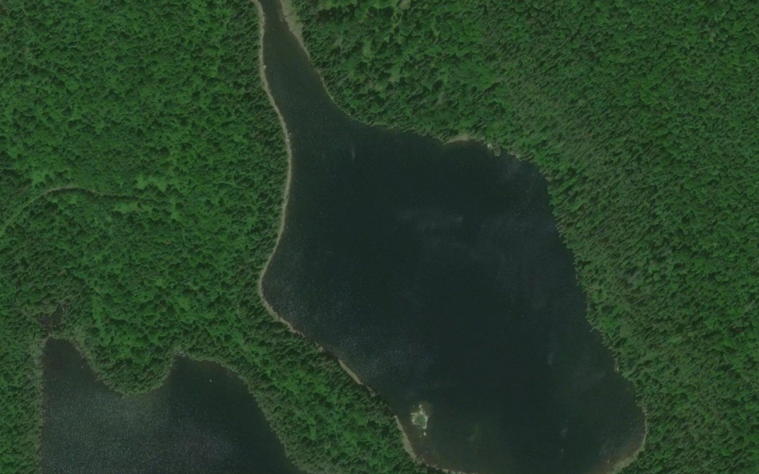 Lac Leon