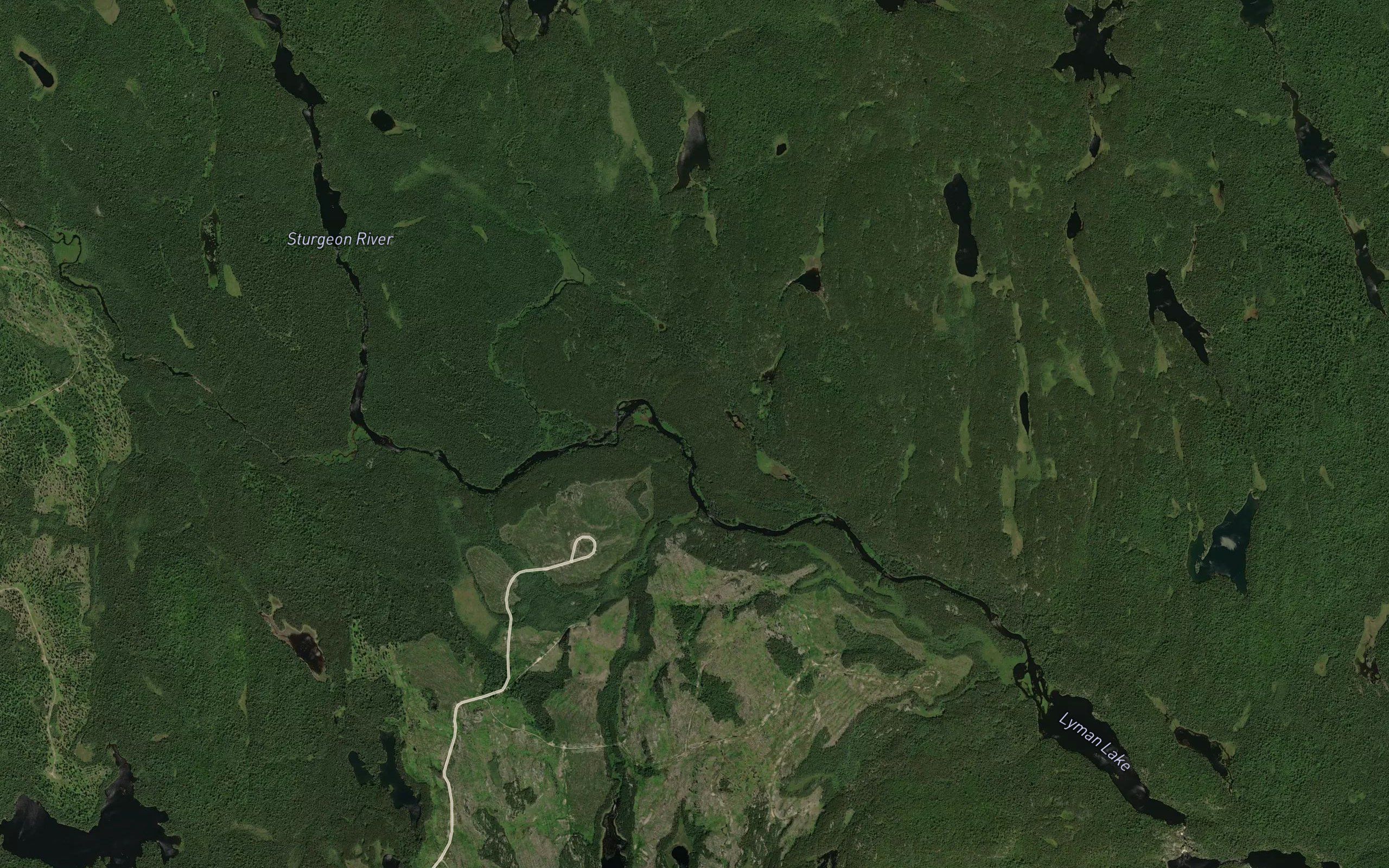 Selkirk Creek