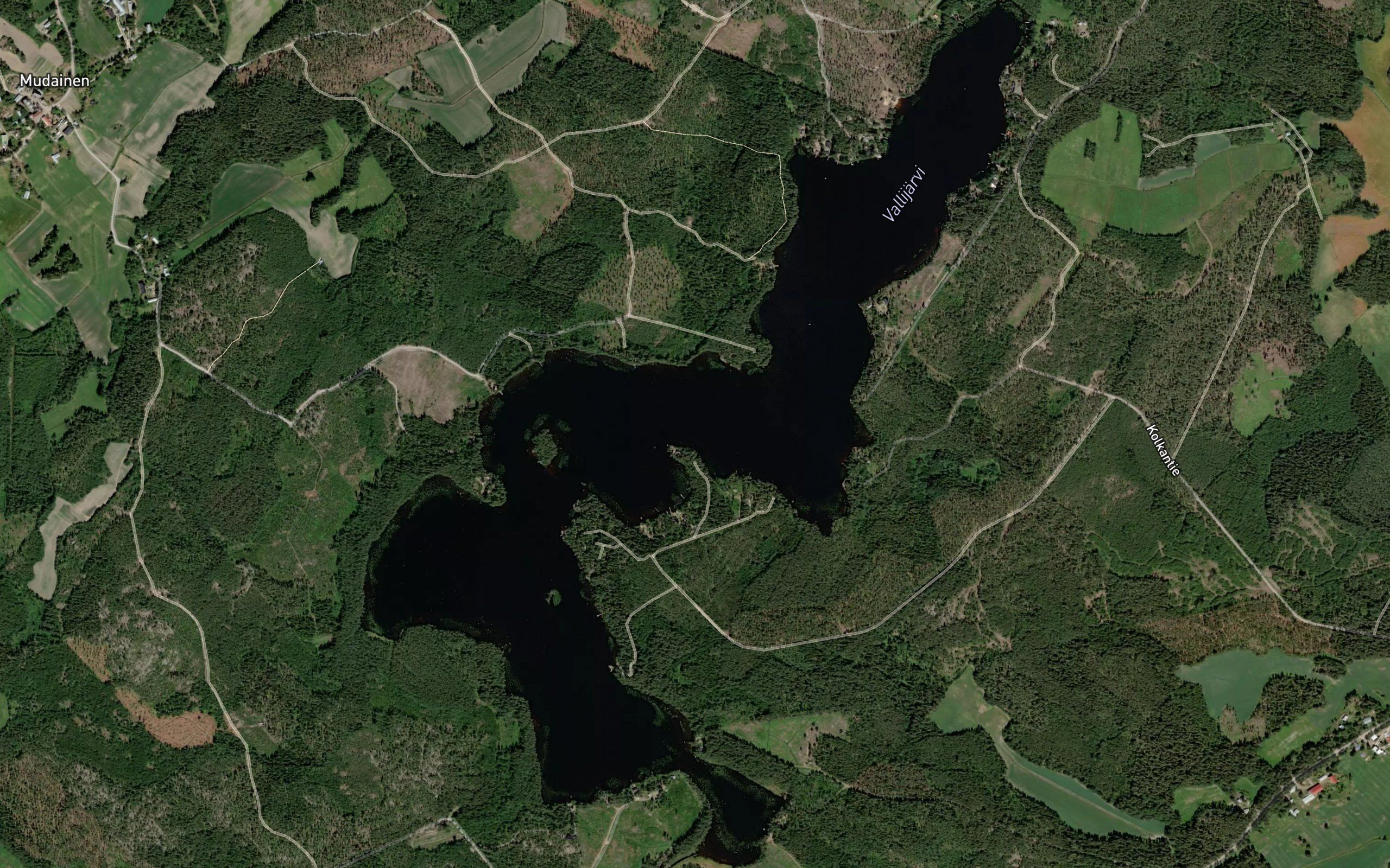Vallijarvi