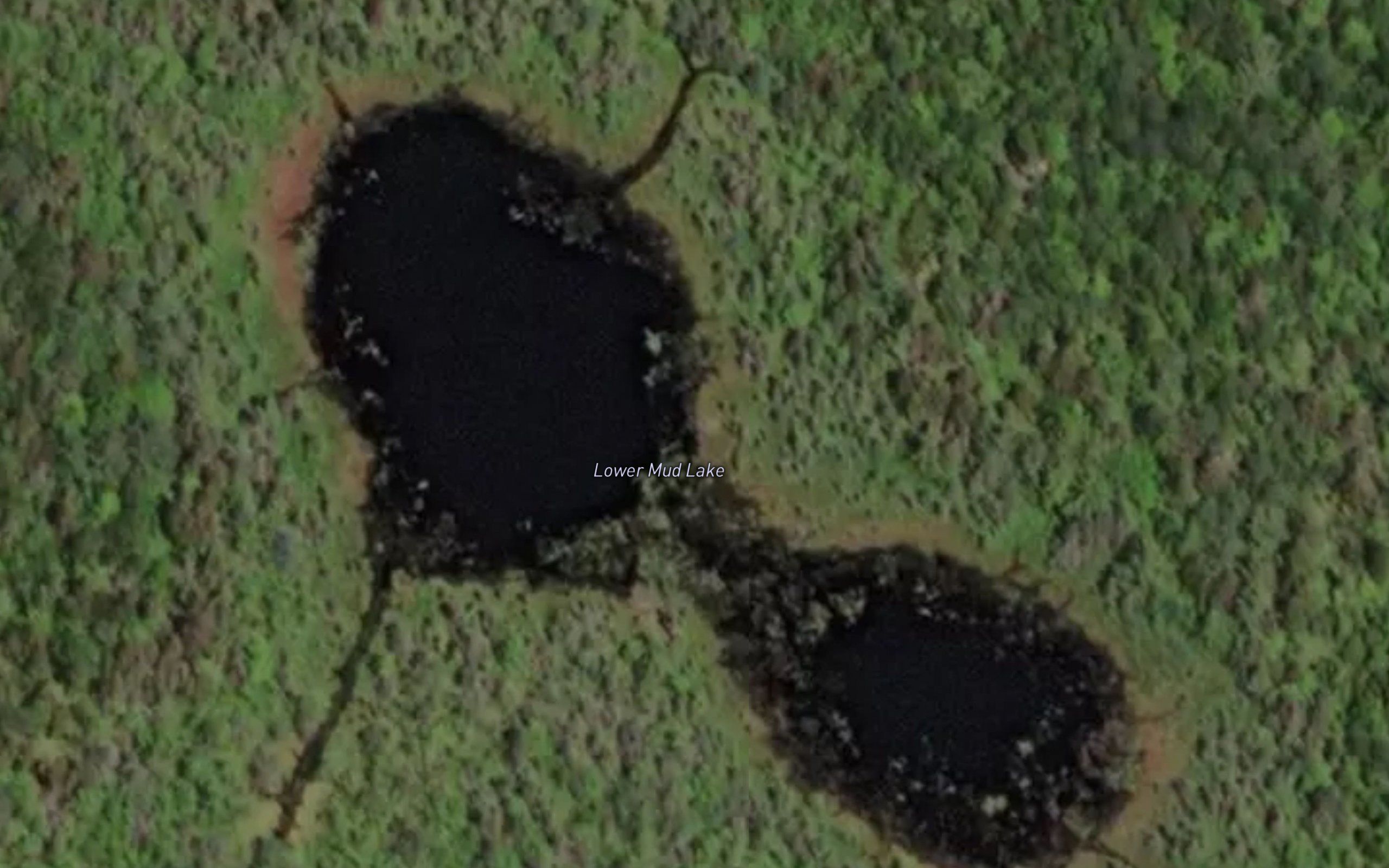 Lower Mud Lake