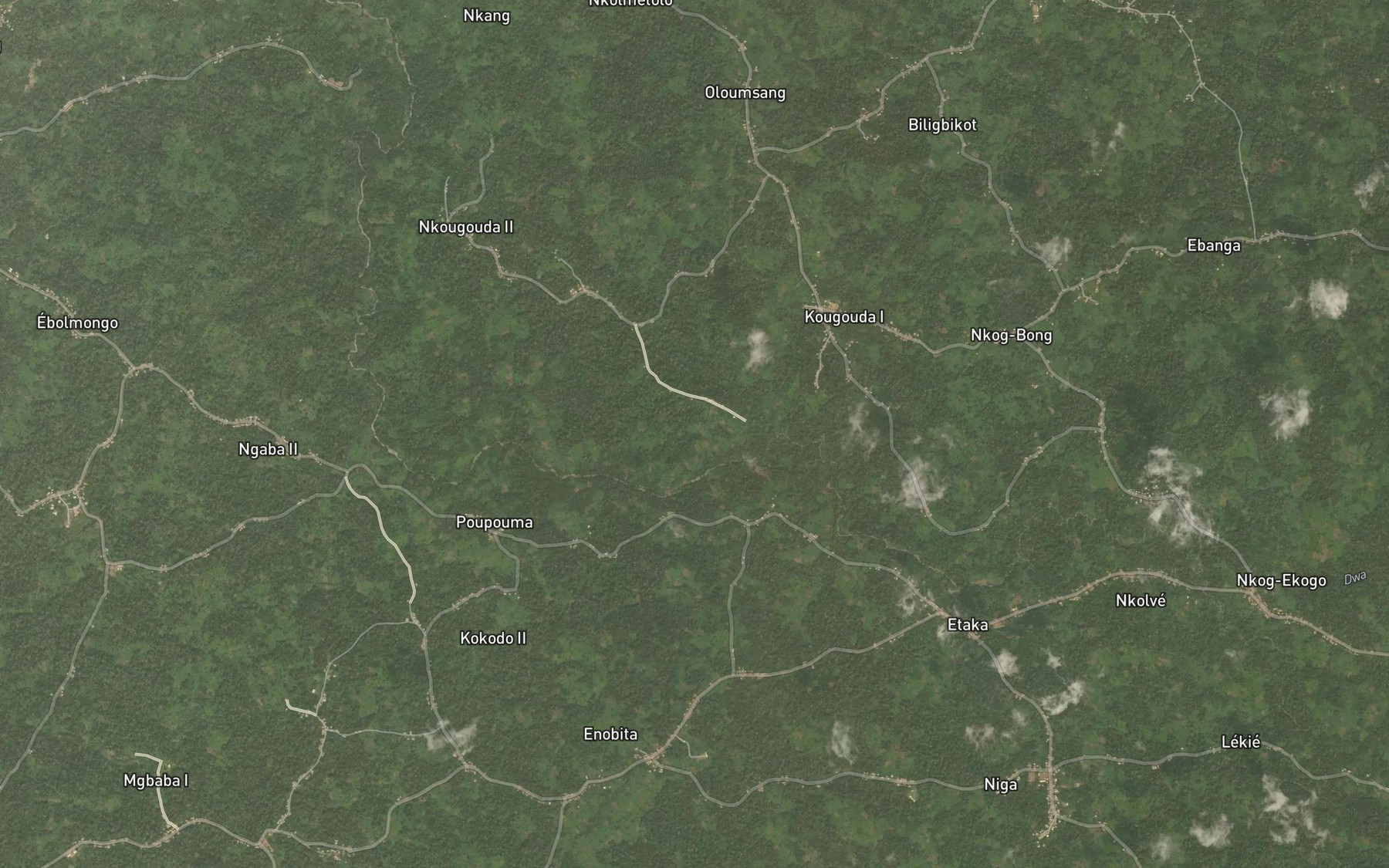 Satellite map of the Bikogo