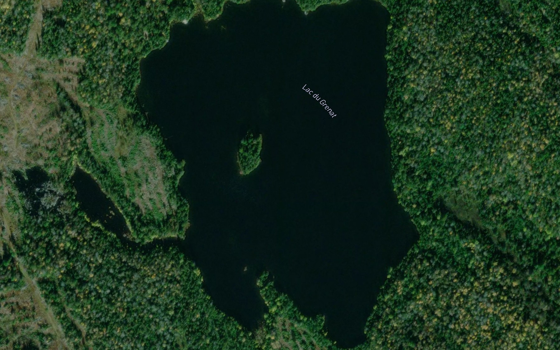 Satellite map of the Lac du Grenat