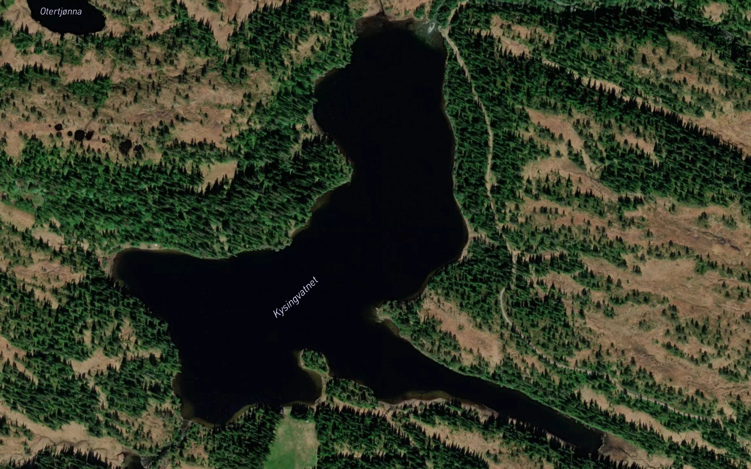 Kysingvatnet