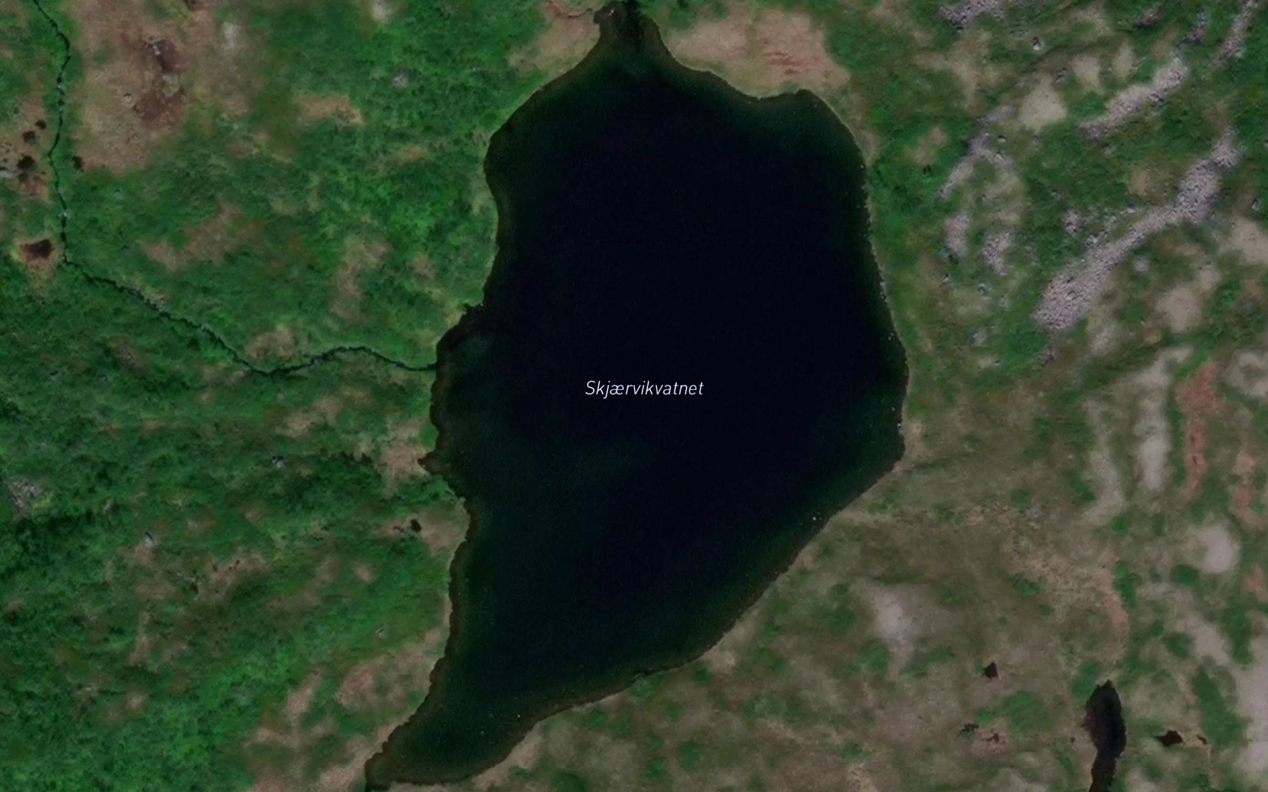 Skjaervikvannet