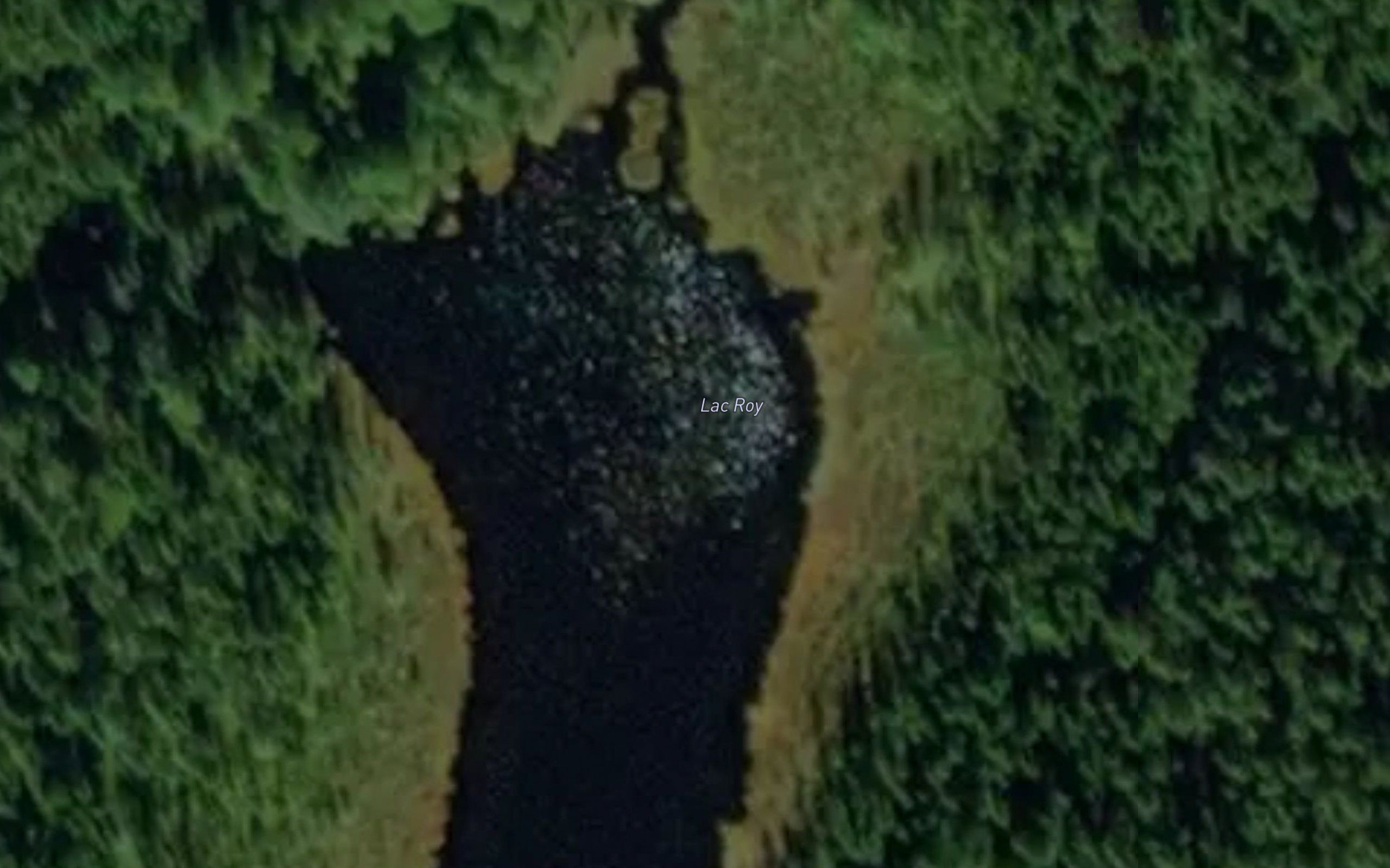 Lac Roy