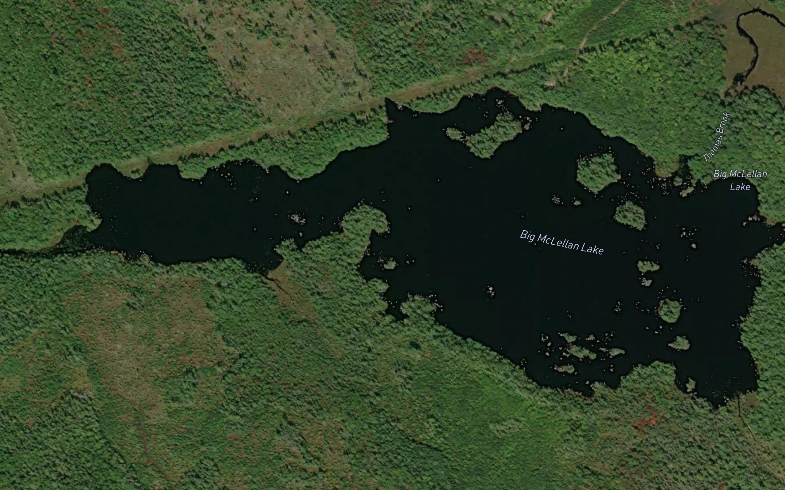 Big McLellan Lake